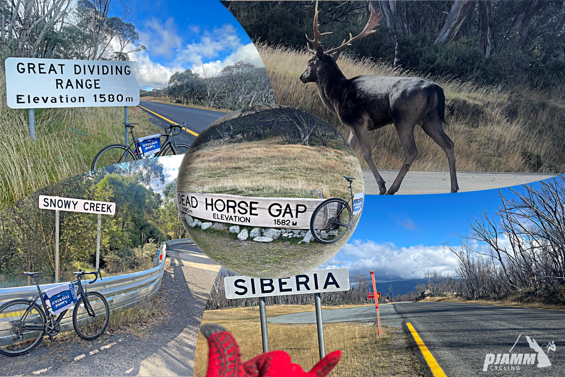signs along the climb, include: Great Dividing Range Elevation 1580 m; Snowy Creek; Dead Horse Gap Elevation 1582 m; and Siberia