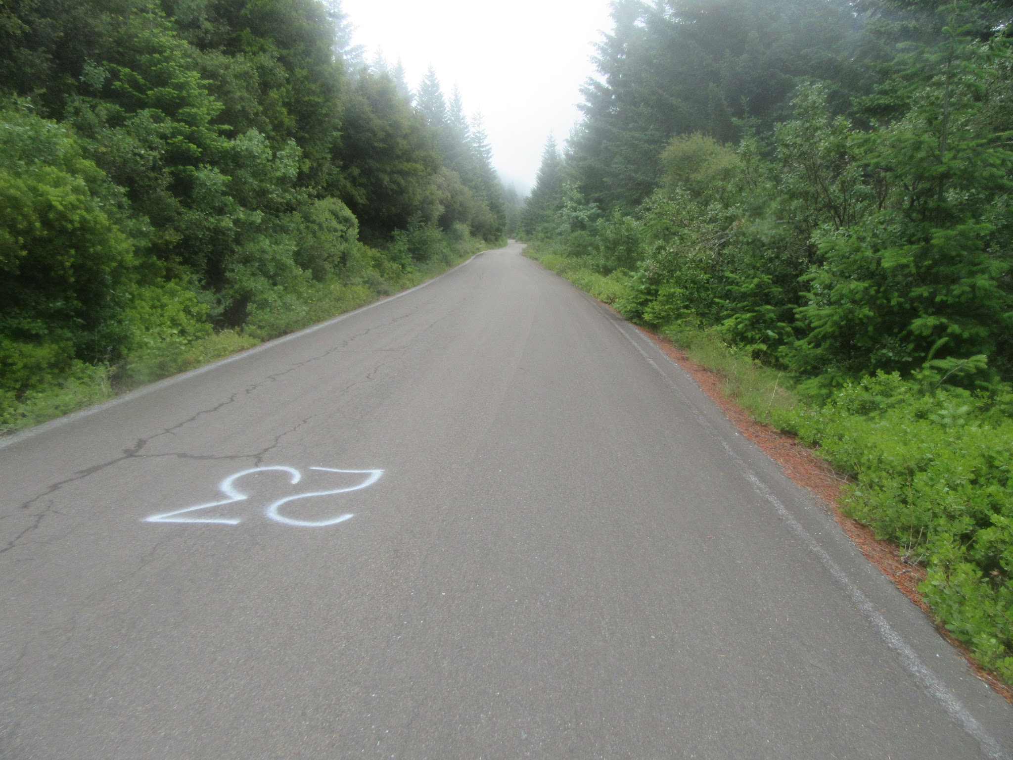 Rural Road - "Road Sign" is just a spray painted "23" on roadway signifying Forest Road 23