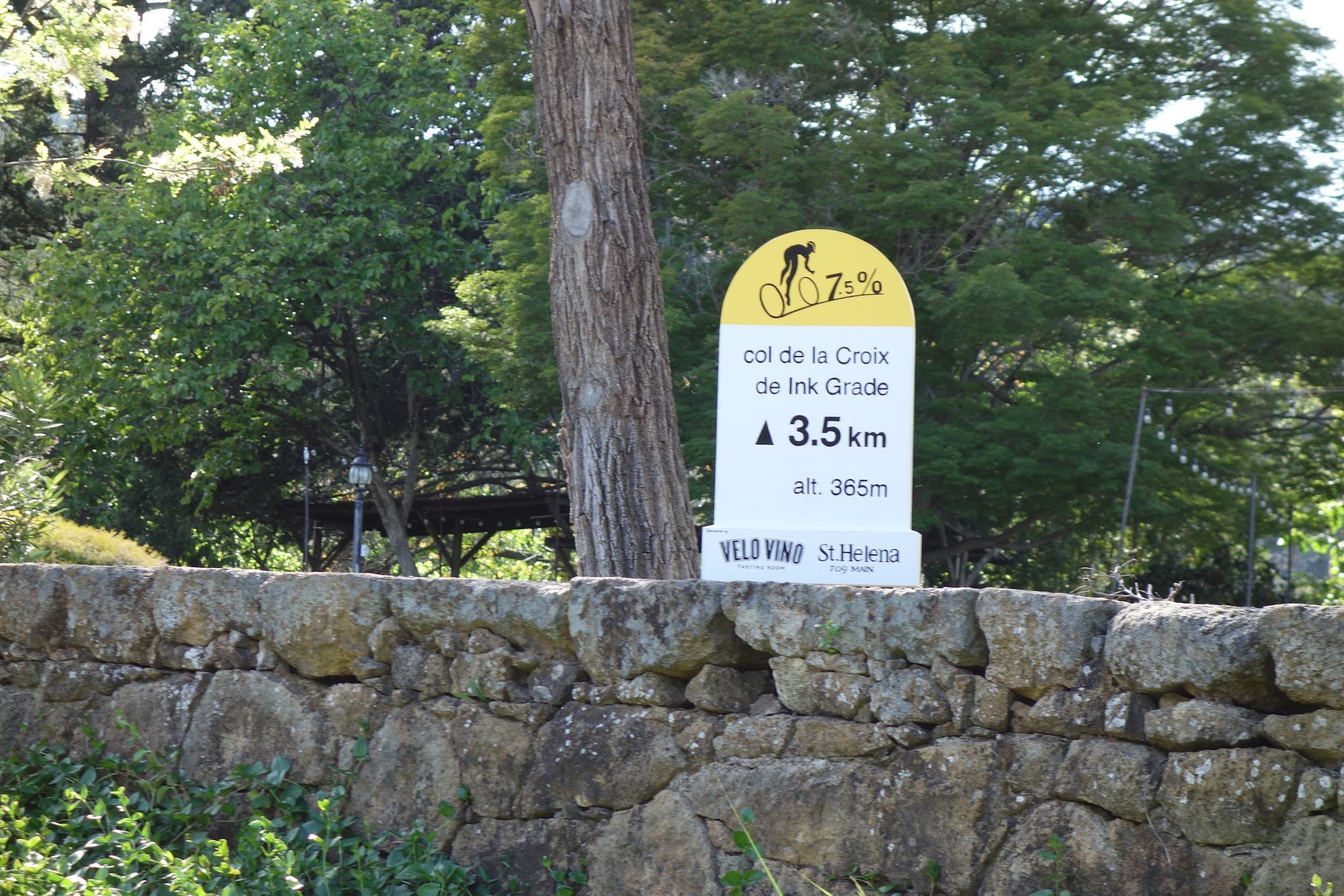 DSC01758.JPG