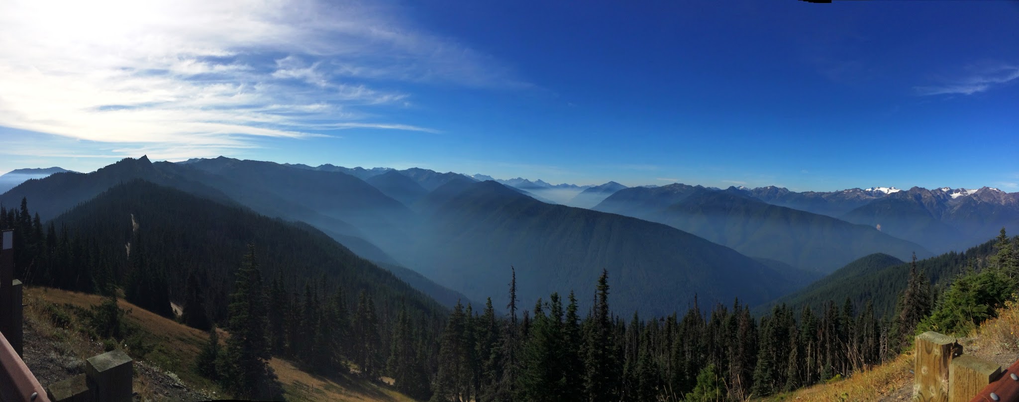 Washington Top Bike Climbs - Cycling Hurricane Ridge - Visitor Center - dear with mountains in background
