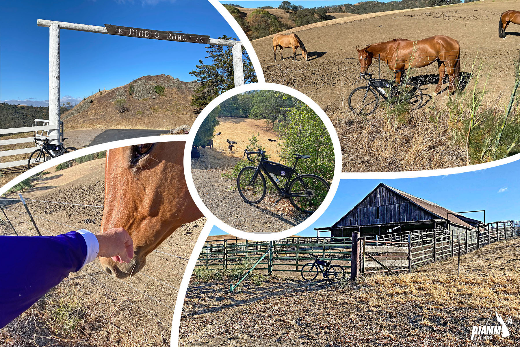 bike parked in front of fence by farm buildings, sign for The Diablo Ranch, bike parked next to horses in pasture