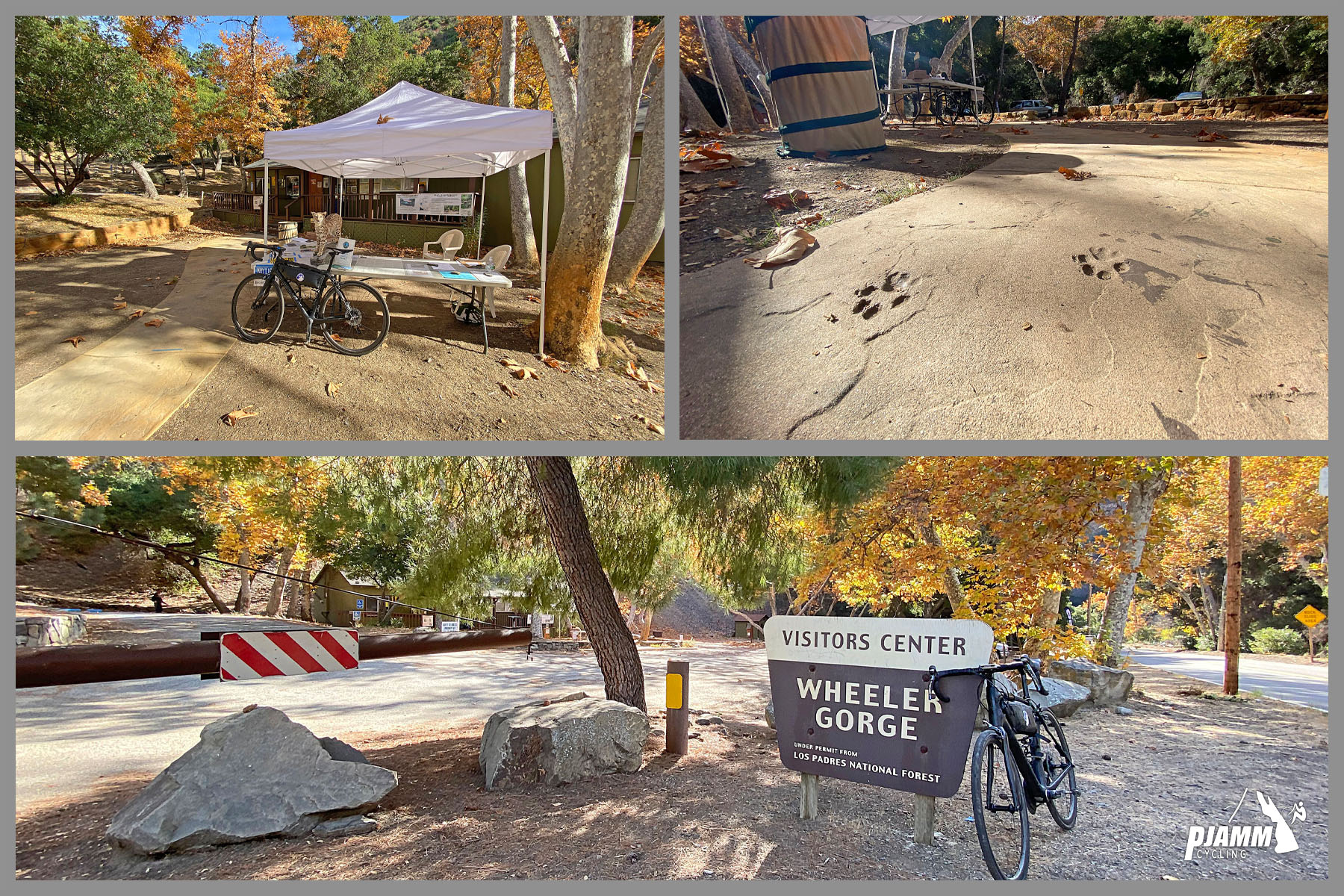  Cycling Highway 33 to Pine Creek Summit  - Wheeler Gorge Visitor Center