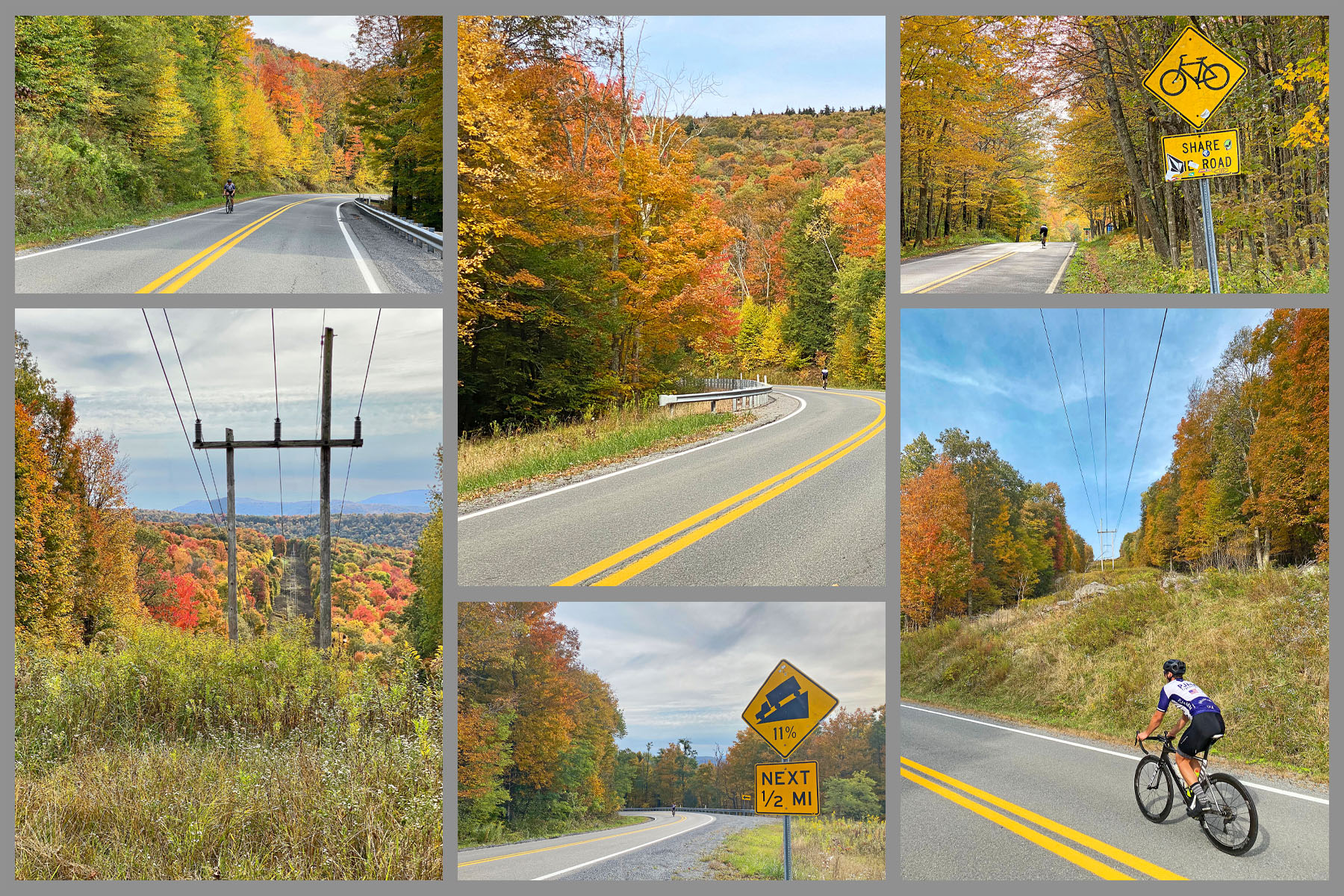 Cycling Snow Shoe Drive East, West Virginia - dense fall foliage along final third of climb