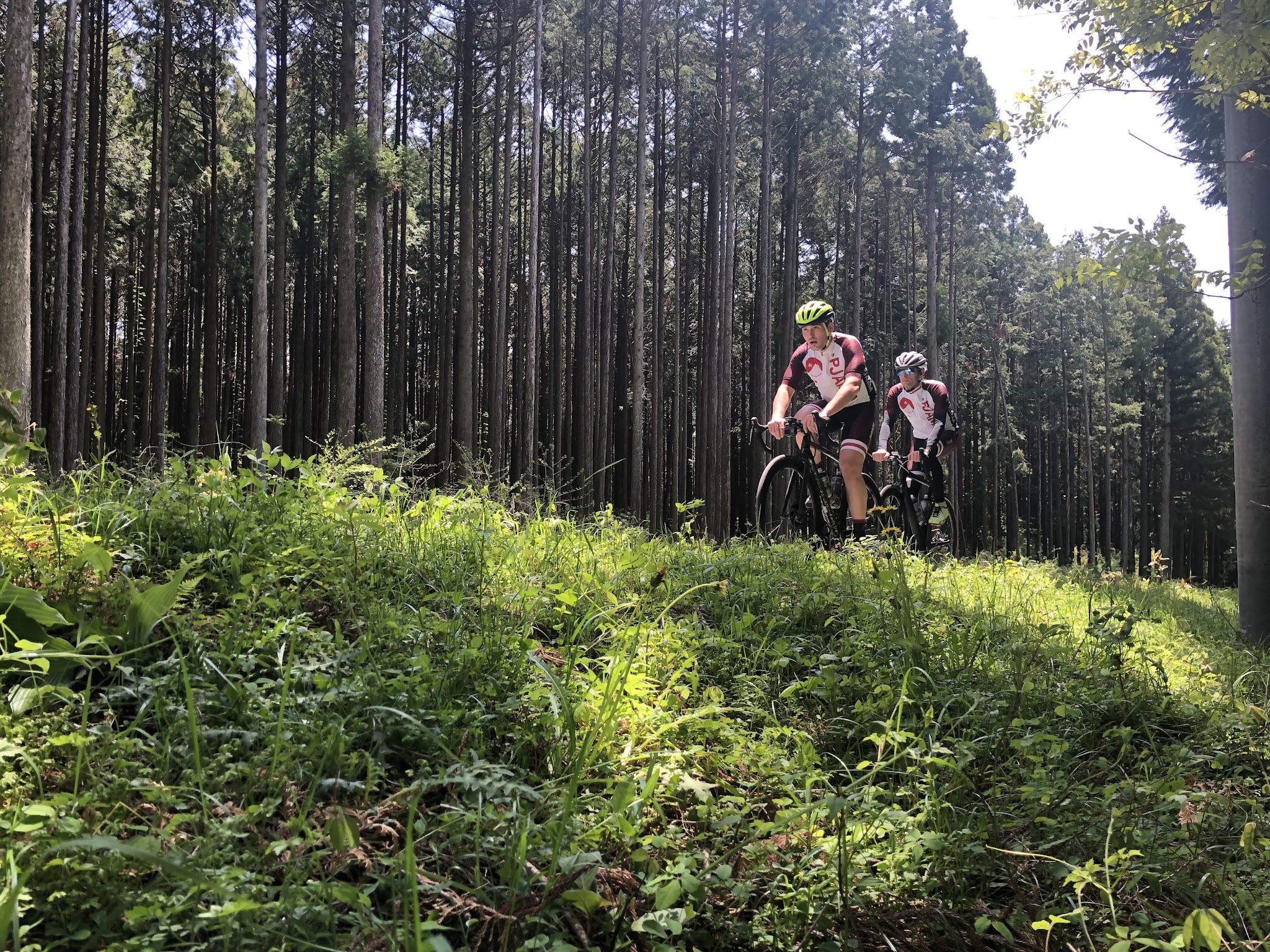 Bicycle climb Mt. Fuji - Fujinomiya Line - 2 cyclist on the road on bikes - photo ground level in forest
