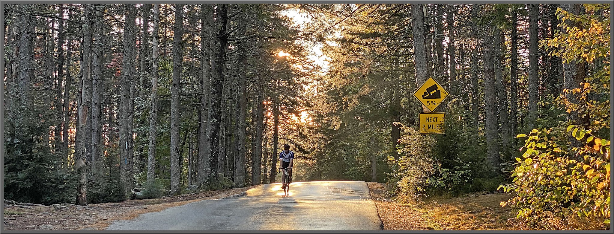 Cycling Hurricane Road East, New Hampshire - cyclist riding on one-lane road surrounded in dense forestation, sunlight coming through forest behind him
