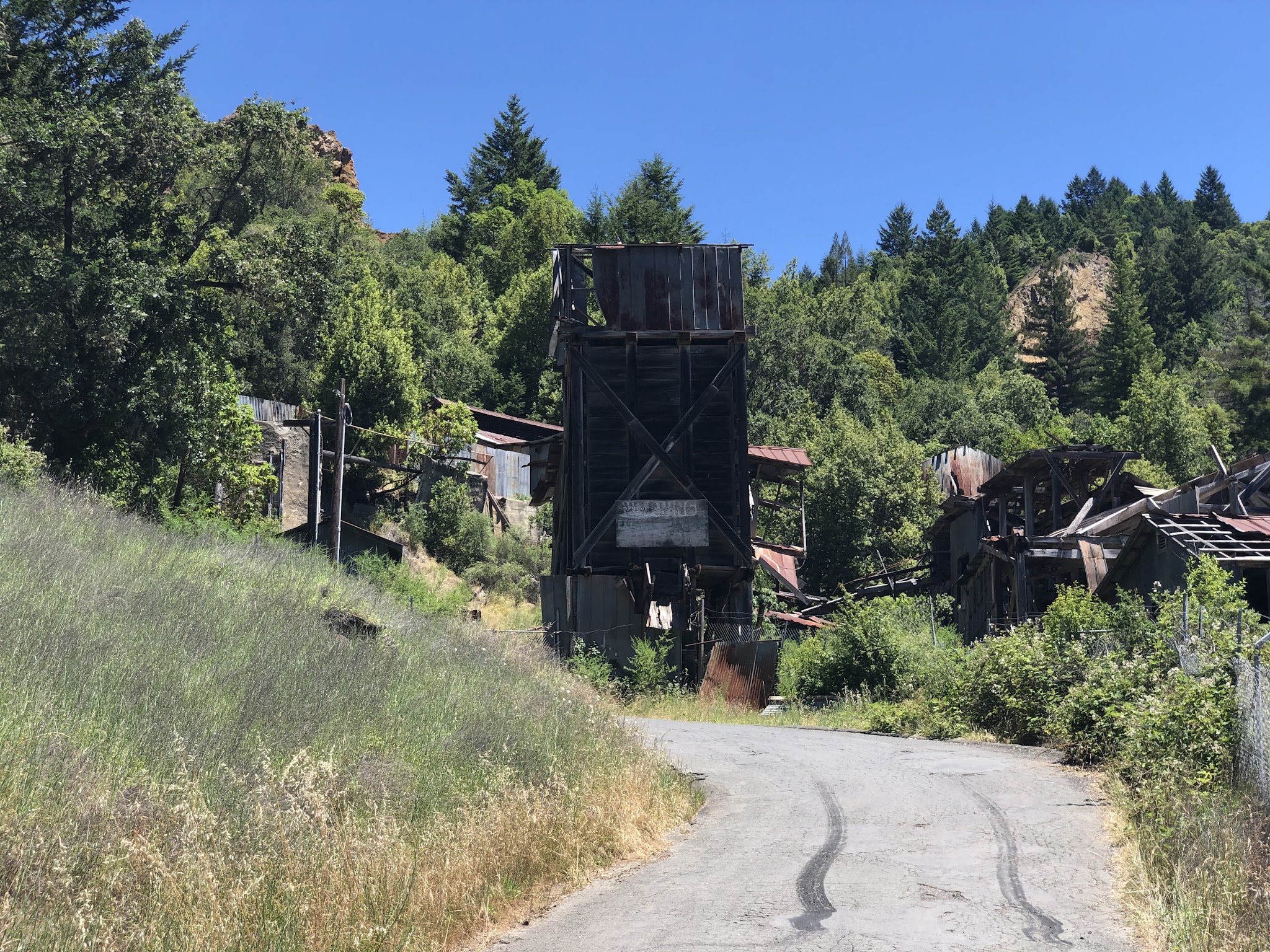 Cycling Sweetwater Springs Road - Mount Jackson Mine