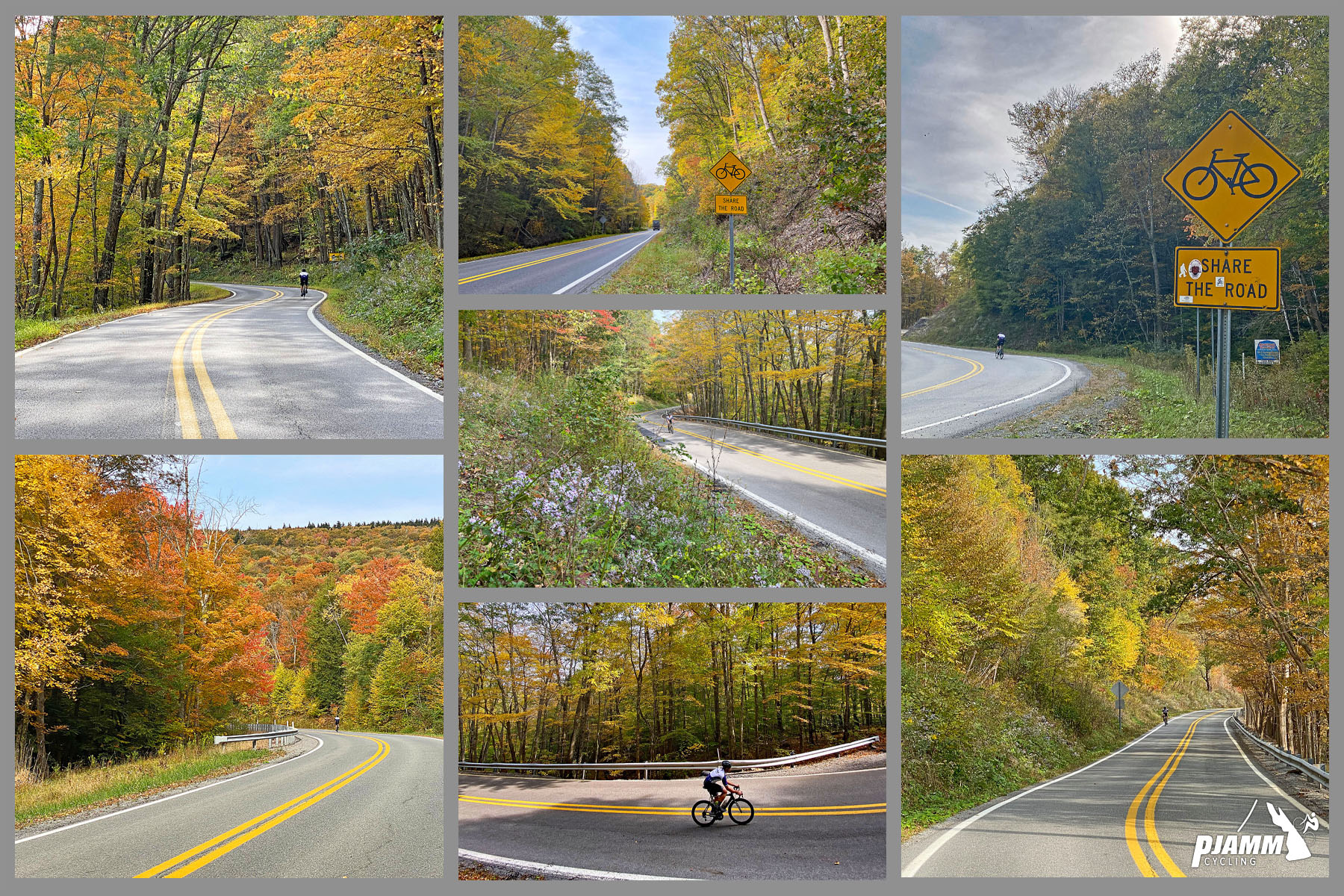 Cycling Snow Shoe Drive East, West Virginia - dense fall foliage along first third of climb