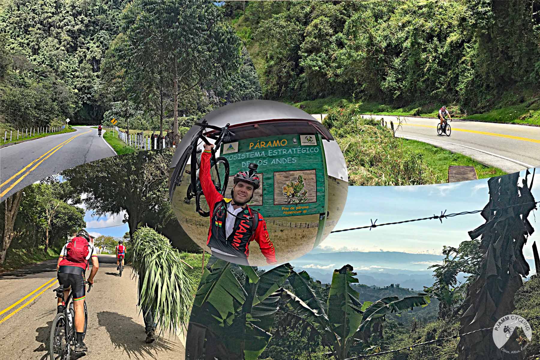 photo collage shows cyclists riding in lush green landscape, PJAMM Cyclist holds bike over his head at climb finish