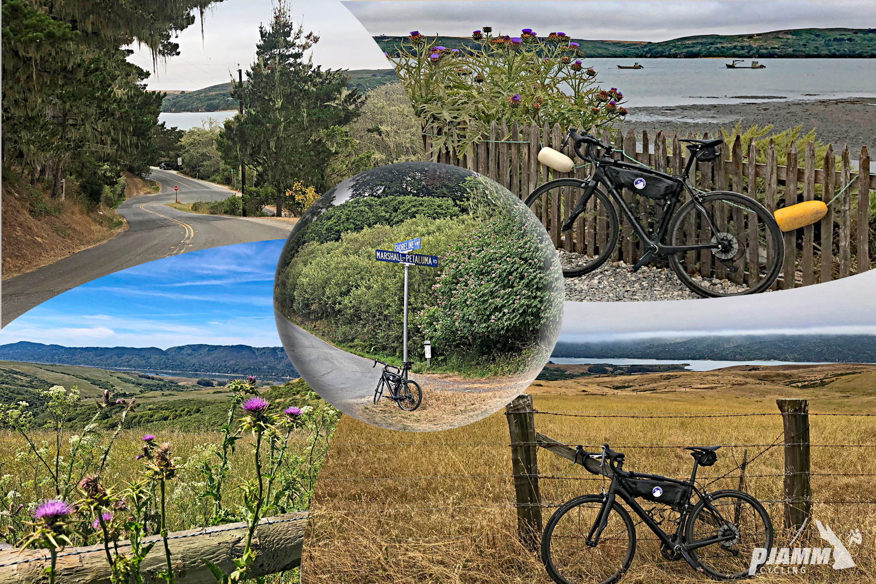 Cycling Marshall Wall West, Marin County, California - photo collage, PJAMM Cycling logo in corner, winding two-lane road overlooking Tamales Bay, bike parked against wooden picket fence overlooking Tamales Bay, bike parked against wire fence in pastureland, thistles growing along edge of pasture, bike parked against roadsign