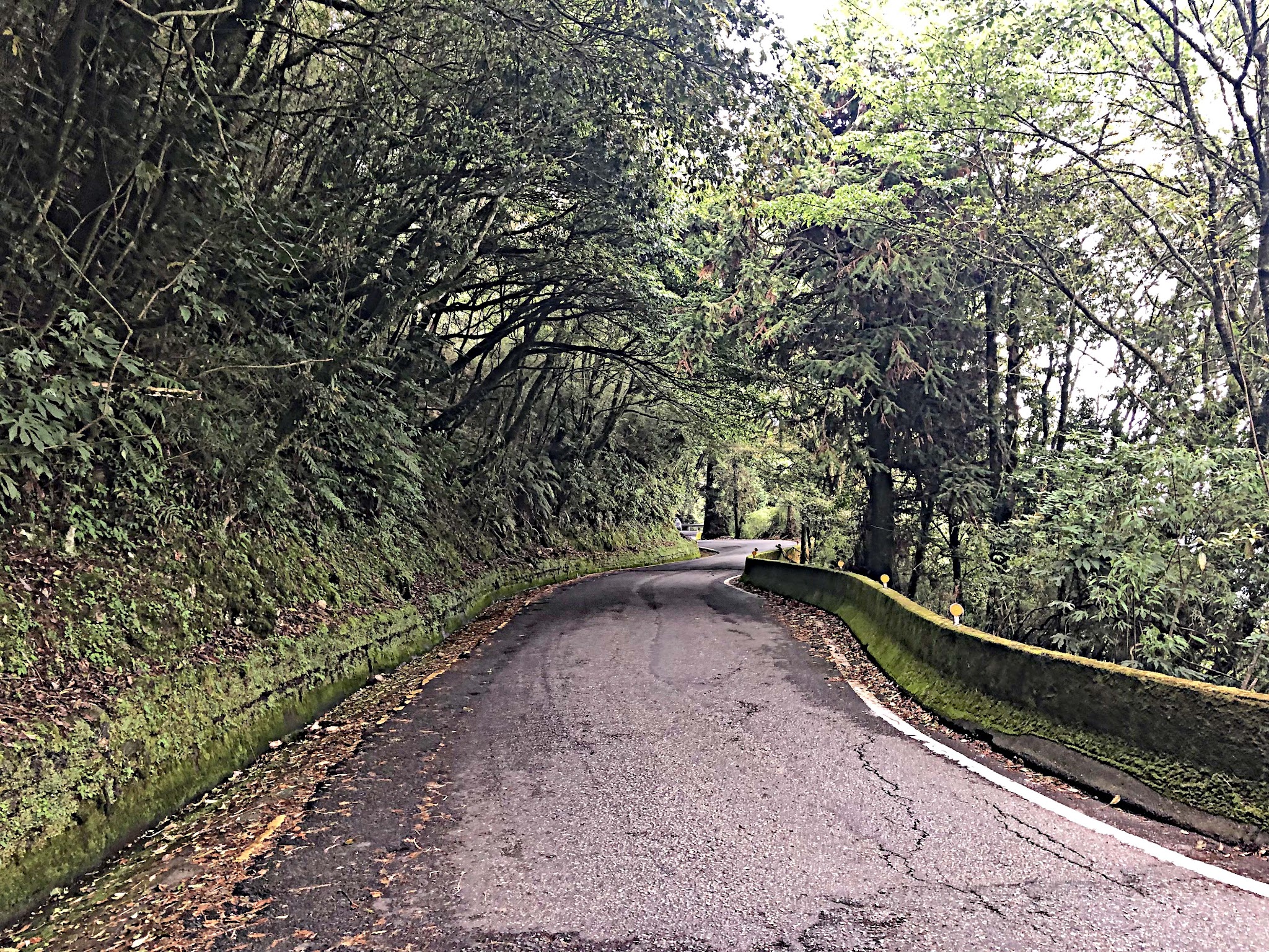 Climbing Wuling Pass West by bike - Cingjing Skywalk from aerial drone, walkway, mountains, farm and reservoir