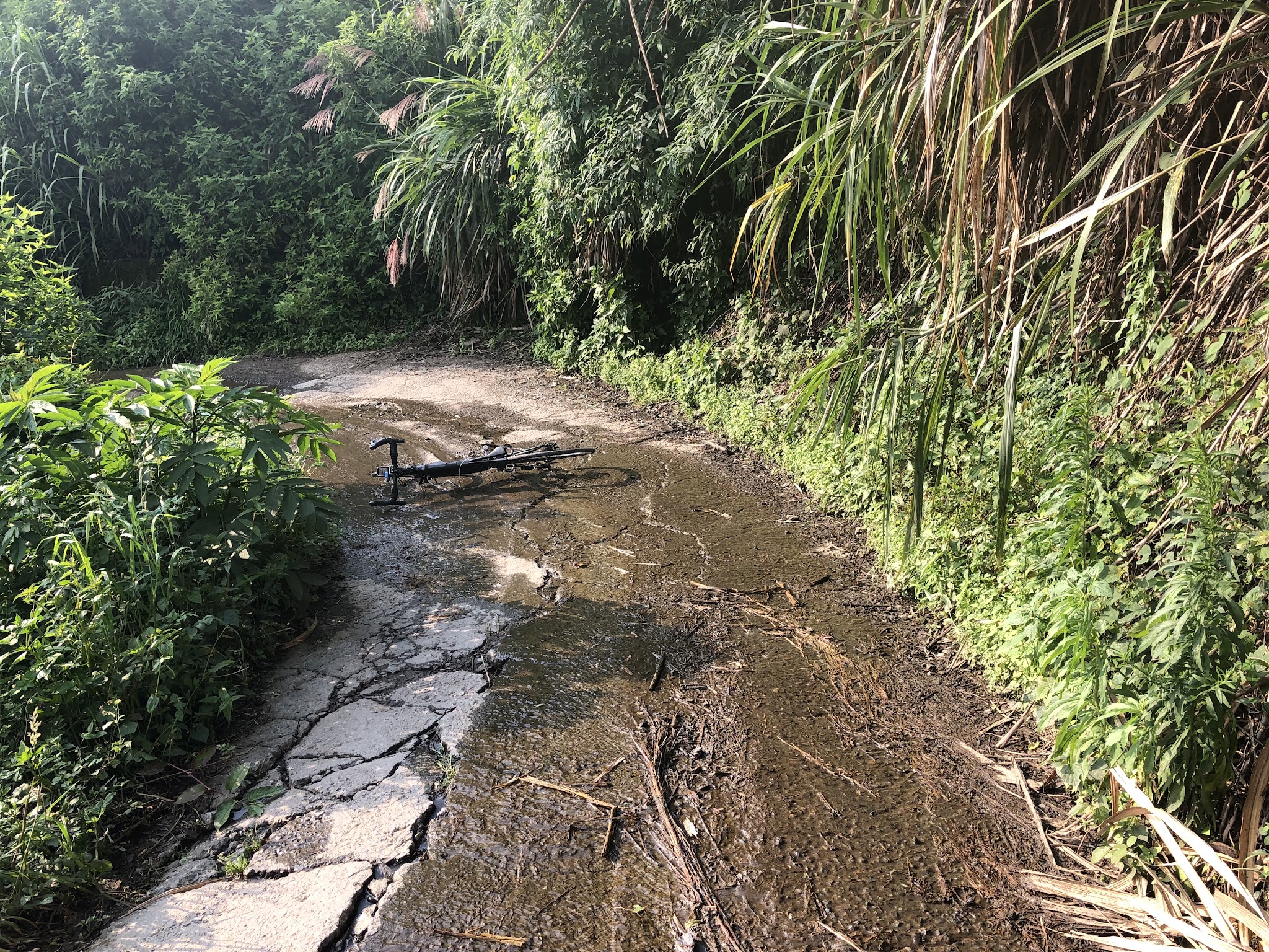 Cycling Wuling Pass North - bike down on wet road