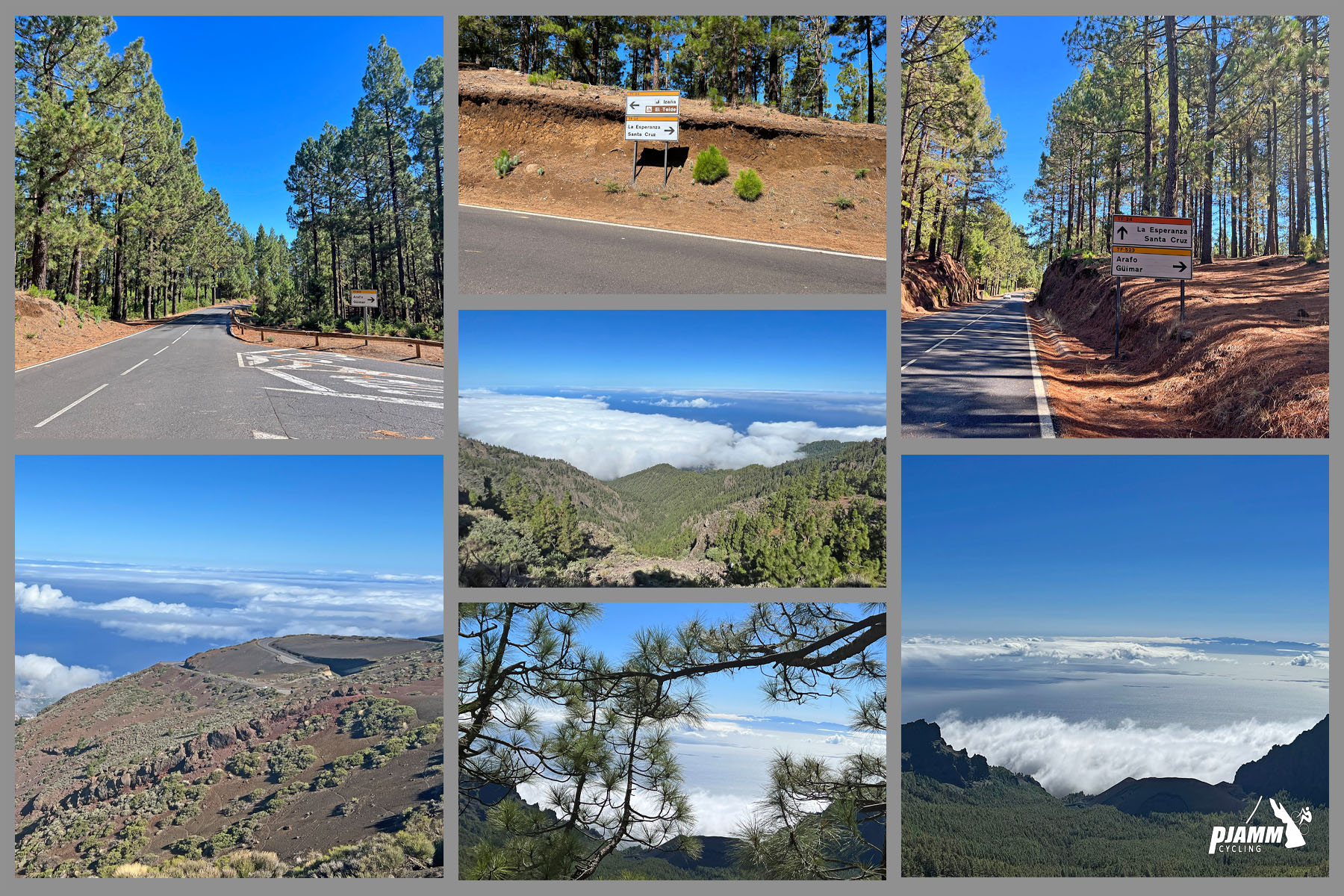 photo collage shows alpine forest views, views looking down over the foggy mountains from above