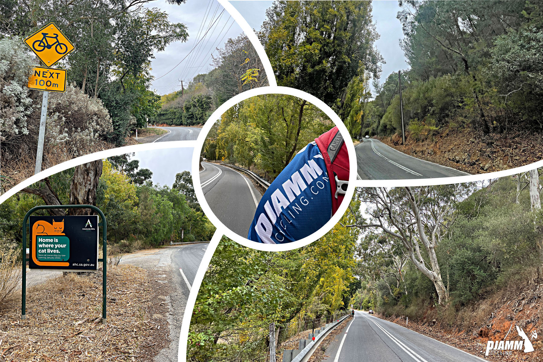 Cycling Old Norton Summit, Adelaide, Australia photo collage; two-lane roadway with eucalyptus trees surrounding; road sign reminding drivers to watch for bikes next 100 m