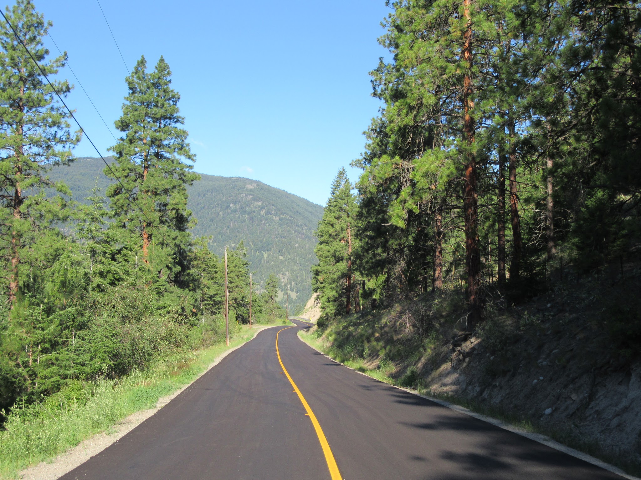 Climbing by bike Apex from Penticton - road bordered by trees