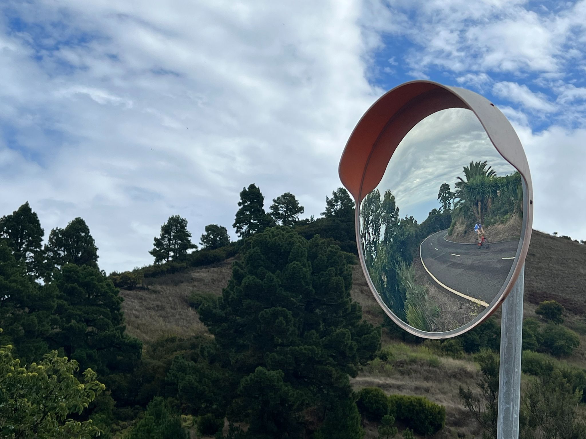 mirror on roadway reflects tropical and evergreen trees, PJAMM Cyclist riding on two-lane roadway