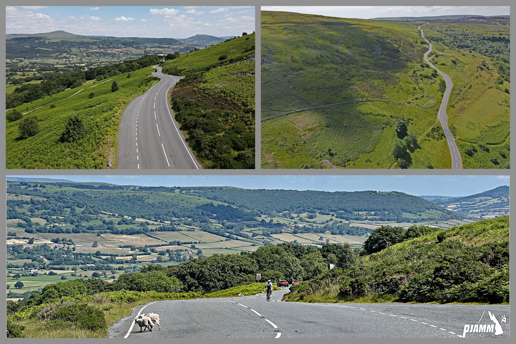 photo collage shows views higher up on last two-thirds of climb, pasturelands below, sheep crossing road