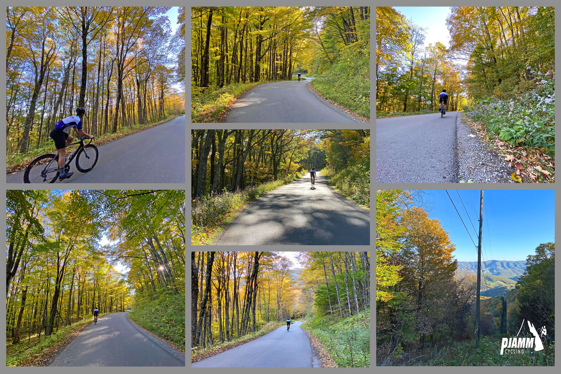 Cycling Spruce Knob, West Virginia - photo collage, scenery on middle portion of climb, steep grade in one-lane, well-paved roadway, dense tree coverage mostly yellow, cyclist climbing on steep roadway, PJAMM Cycling logo in corner