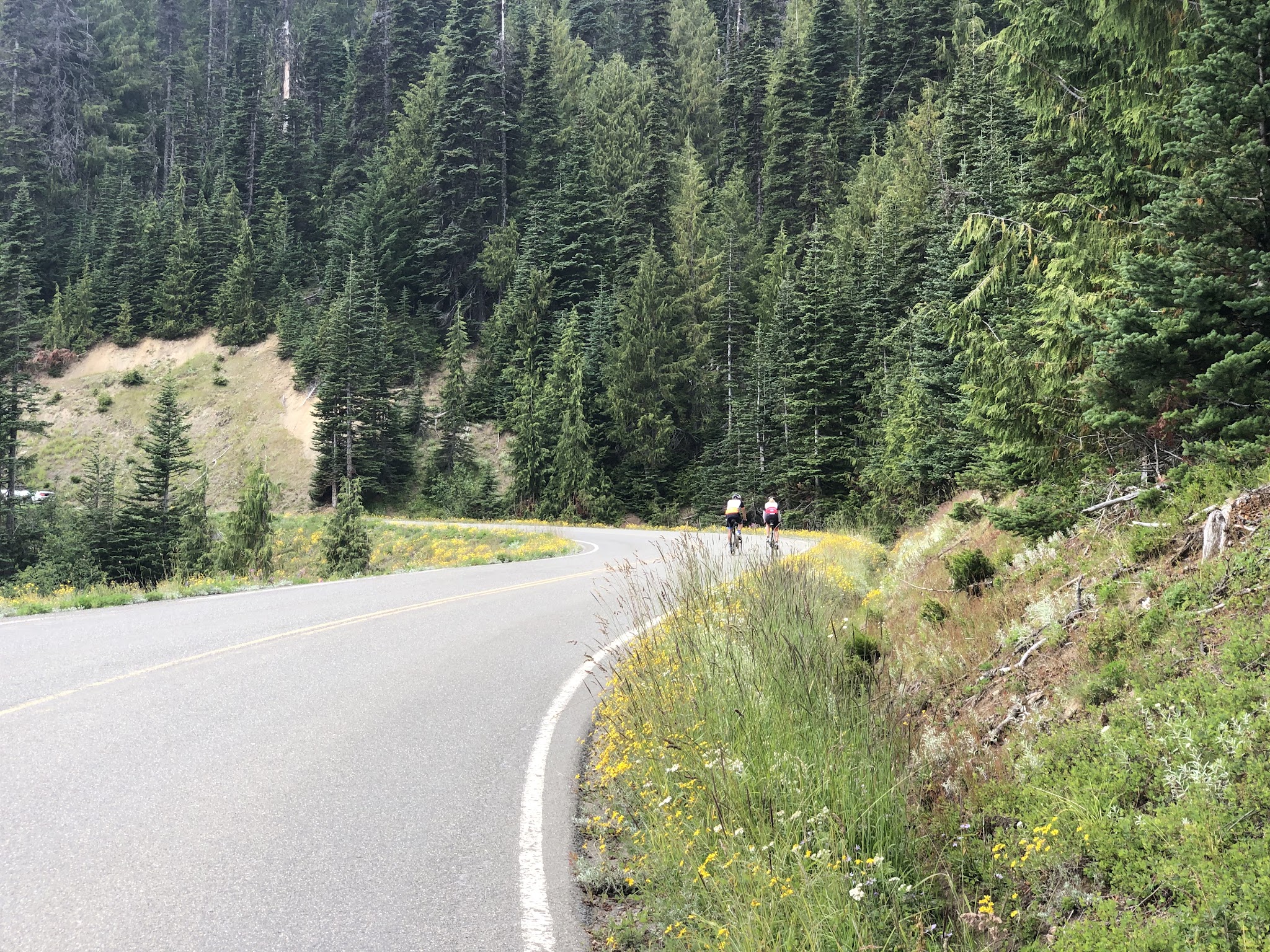 Cycling Hurricane Ridge - Mt. Rainier