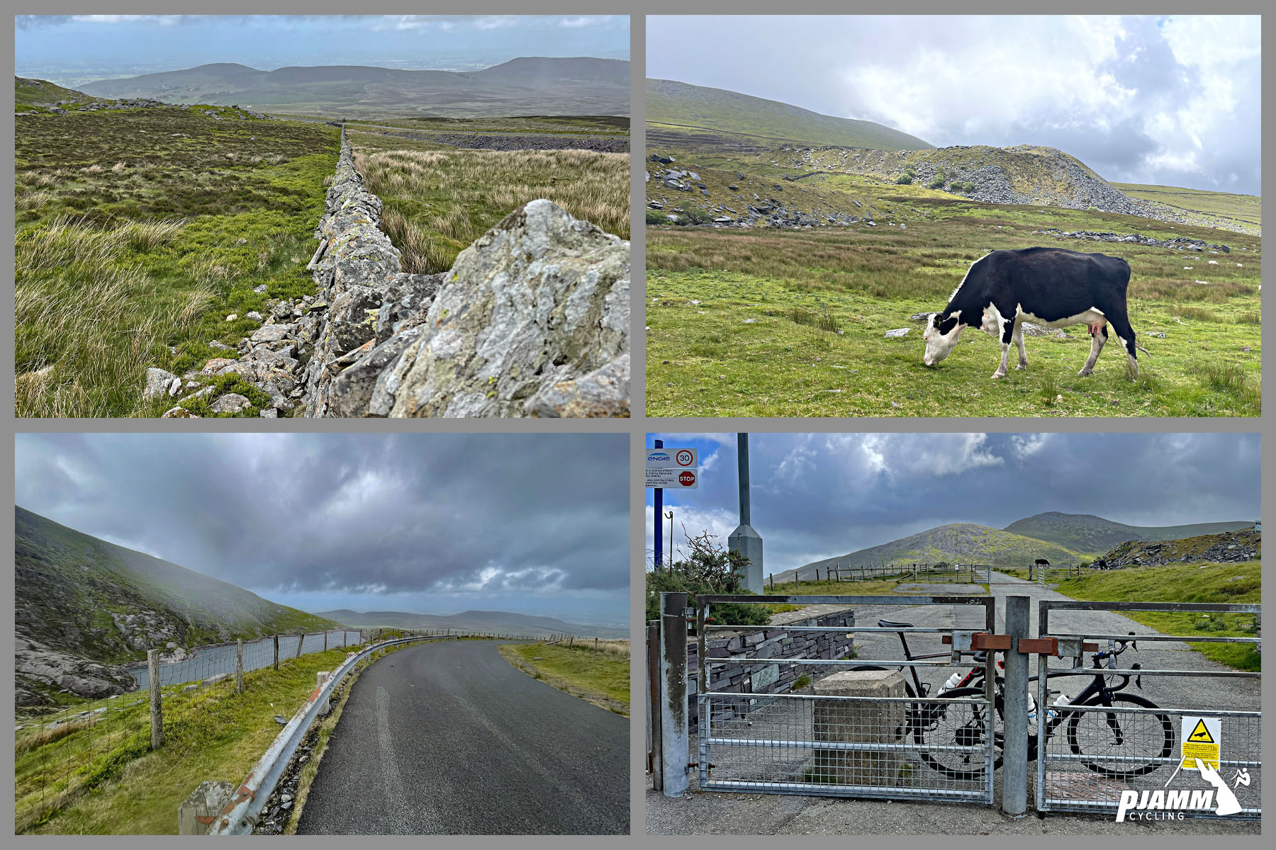 photo collage shows cows grazing in pastures, bike parked next to gate in roadway