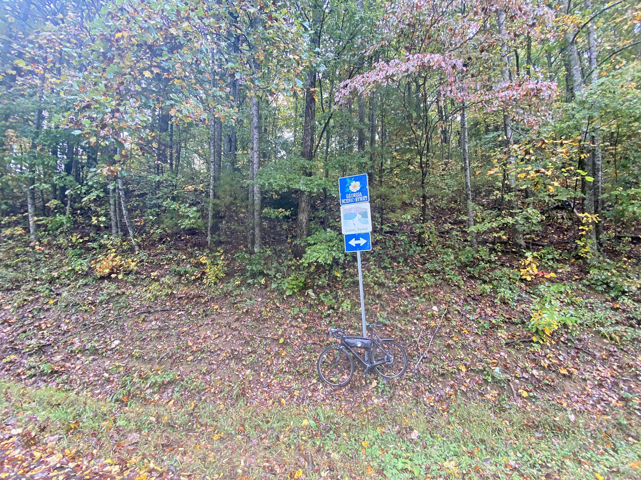 Cycling Jacks Gap, Georgia - bike parked against Georgia Scenic Byway sign in brush on roadside