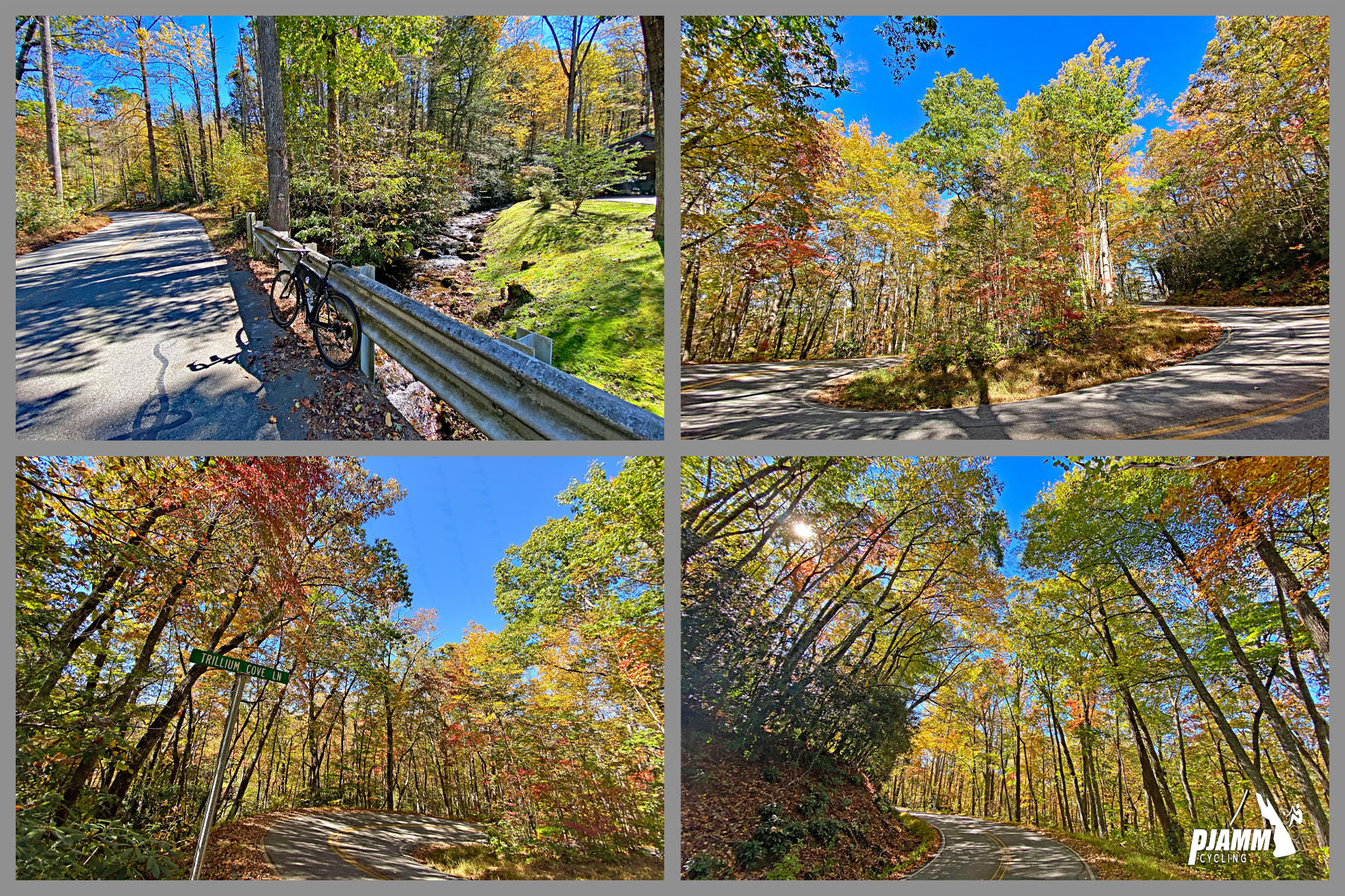 Cycling Mt. Pisgah, Route 151, North Carolina - photo collage, 
 dense fall foliage surrounding one-lane roadway, PJAMM Cycling logo in corner
