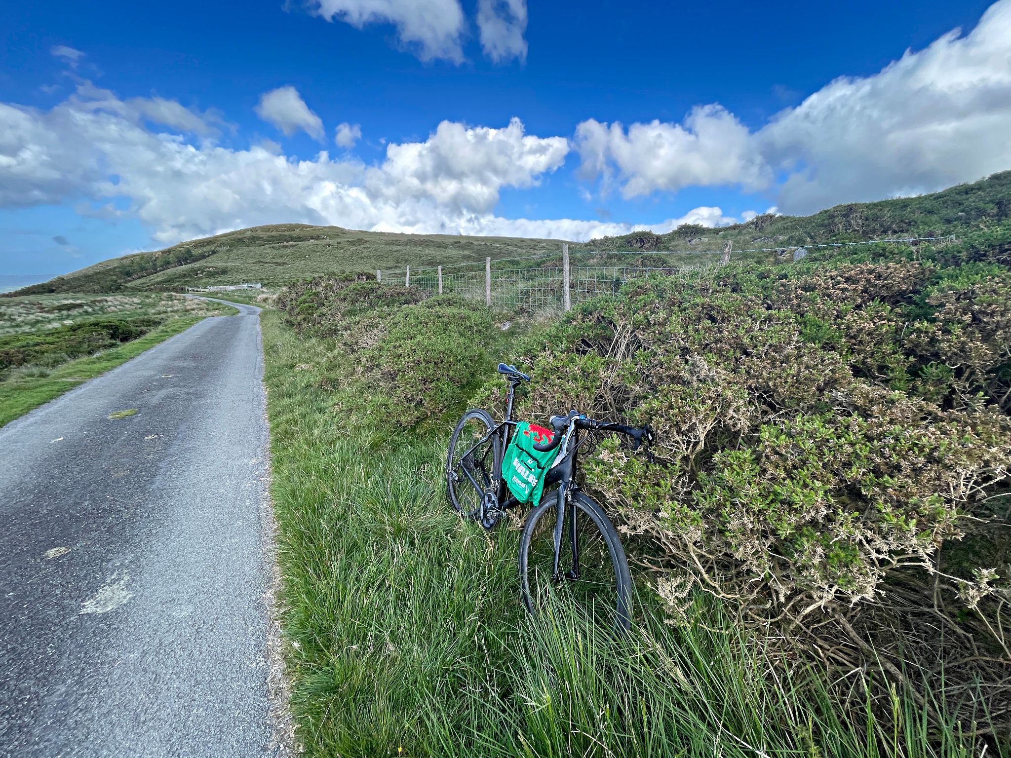 bike parked in tall grass along roadside at climb's finish