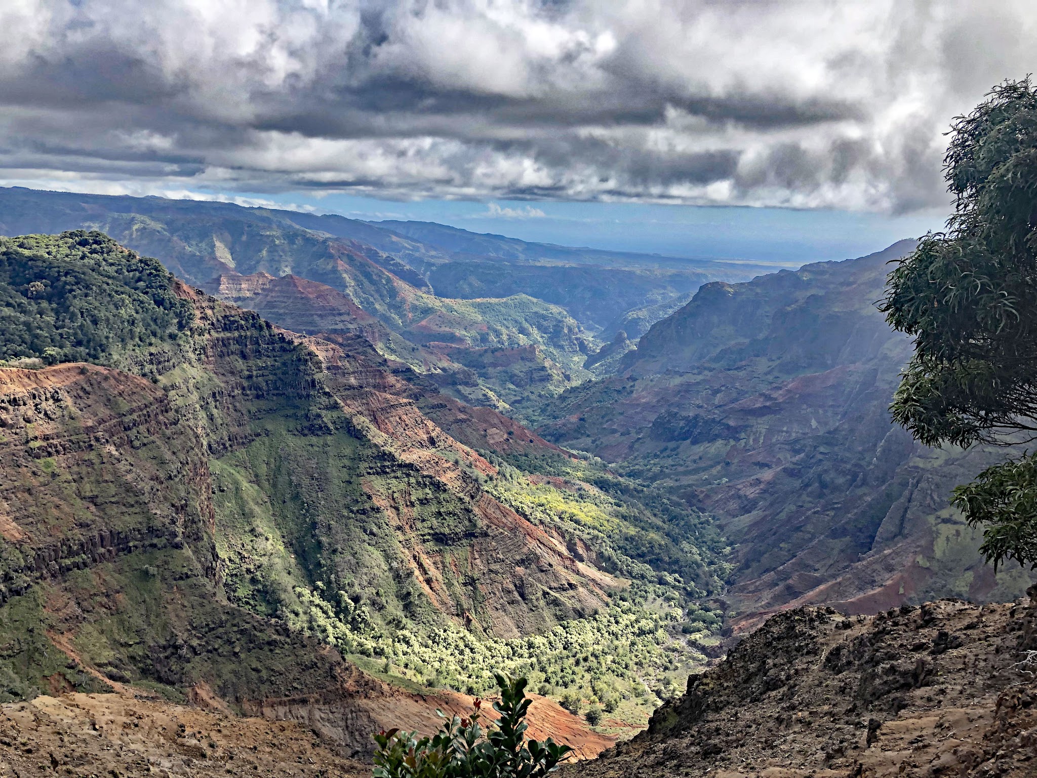 canyon views at Pu’u Hinahina Lookout 