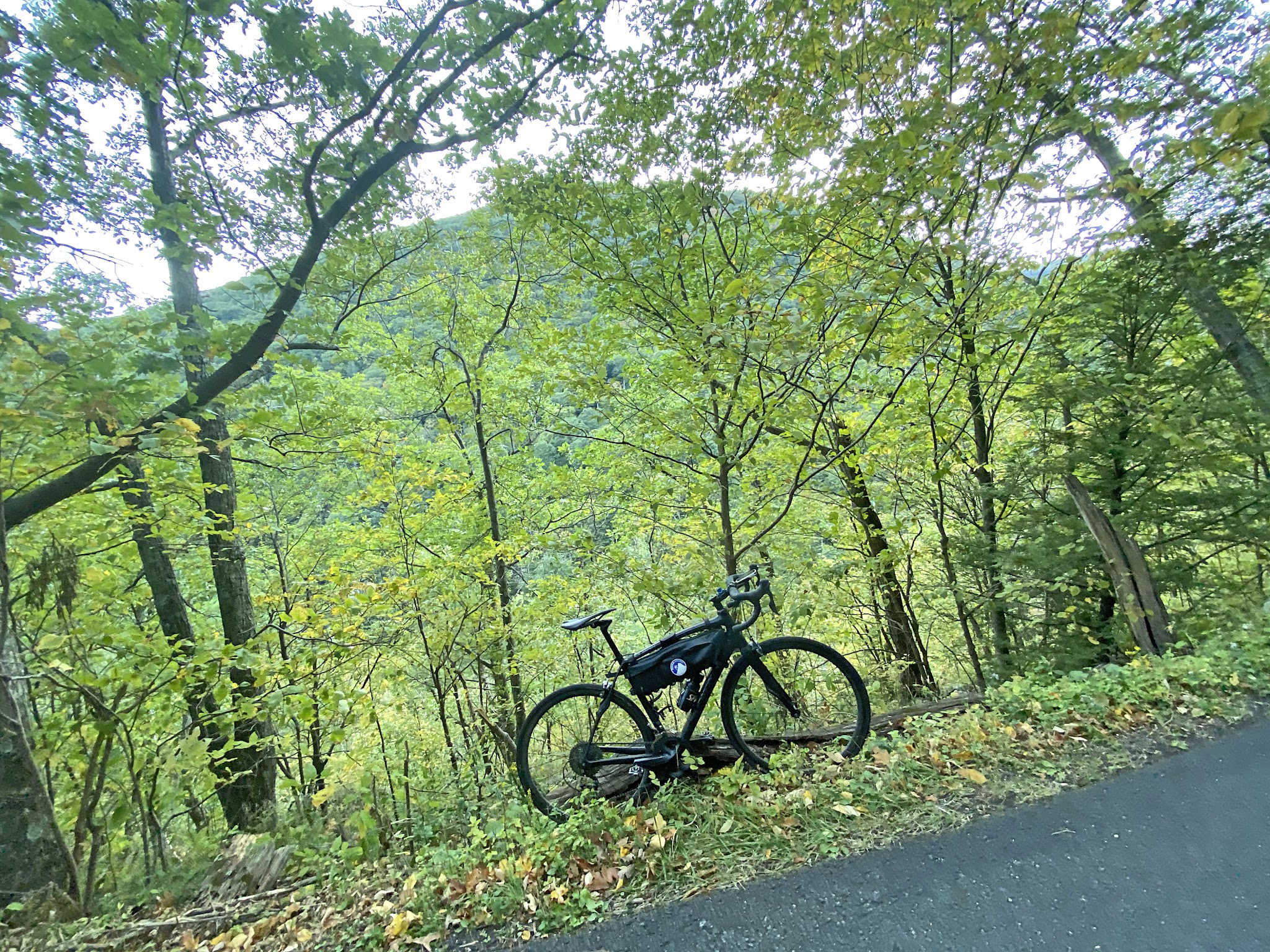 Devil's Kitchen - Platte Clove Road - bike parked in heavy foliage along roadside with steep grade