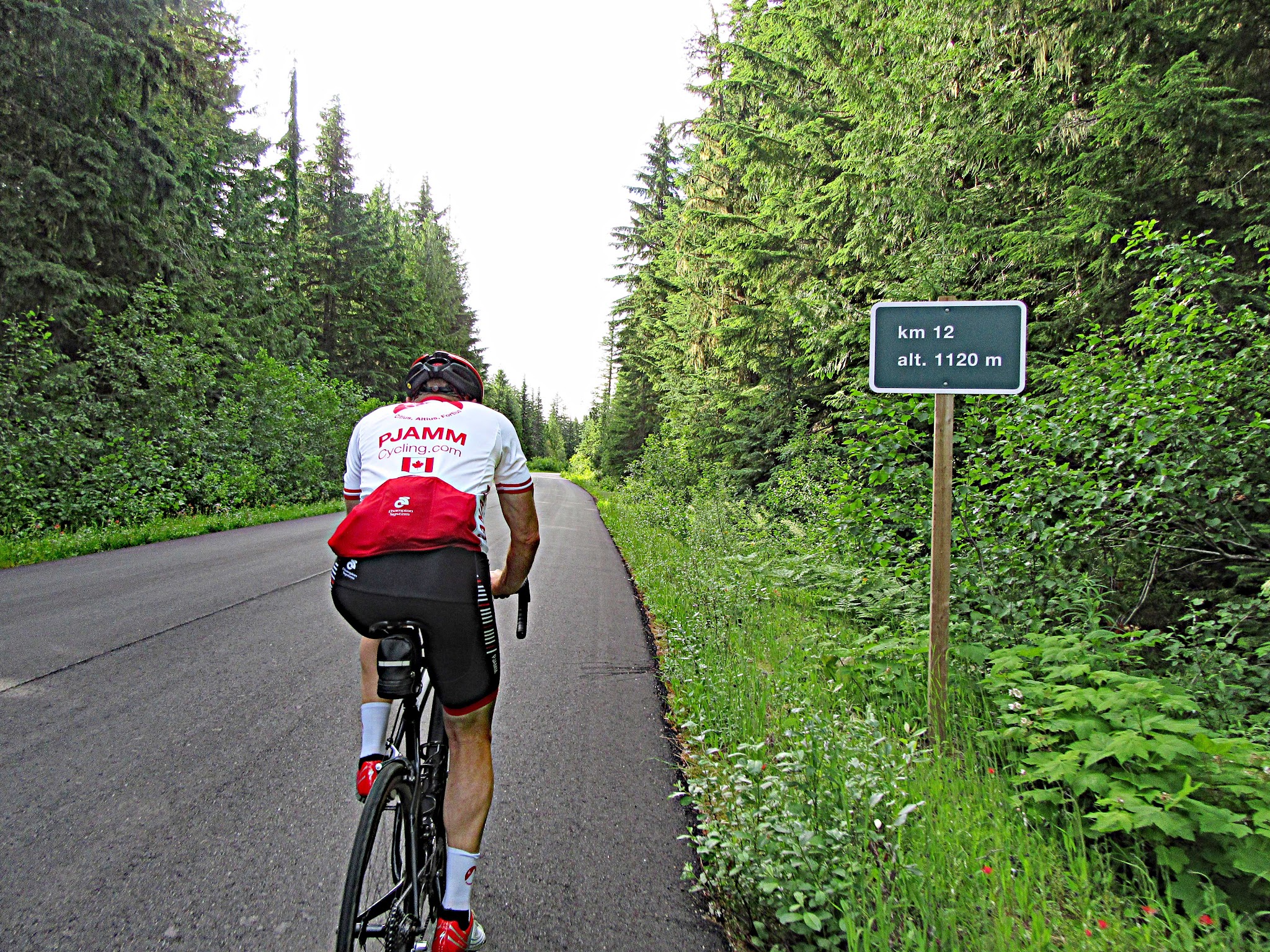 Cycling Mt. Revelstoke, BC, Canada - cyclist climbing along roadway lined with lush greenery and spiky evergreen trees, kilometer mile marker road sign noting km 12 / 1120 meter altitude