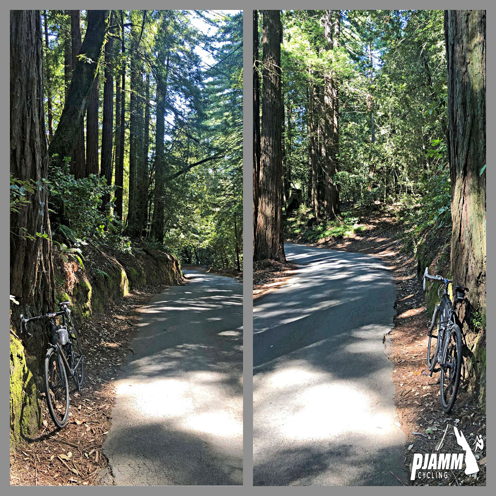 Cycling Mt. Madonna, Santa Cruz Mountains - photo collage, PJAMM Cycling logo in corner, very narrow road lined completely with redwood trees, very shaded roadway, bike parked along redwood trees on roadside.