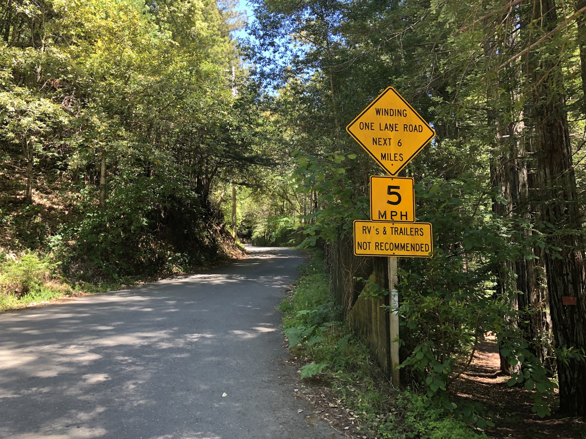 Clmbing Old Cazadero Road  by bike - start of climb - road sign, roadway, redwood trees