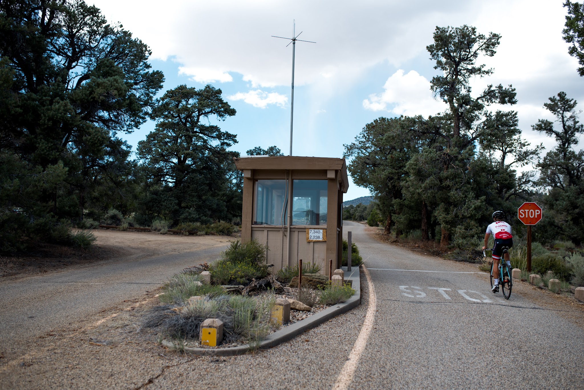 Bicycle ride up White Mountain  - hwy 168 roadway, canyon
