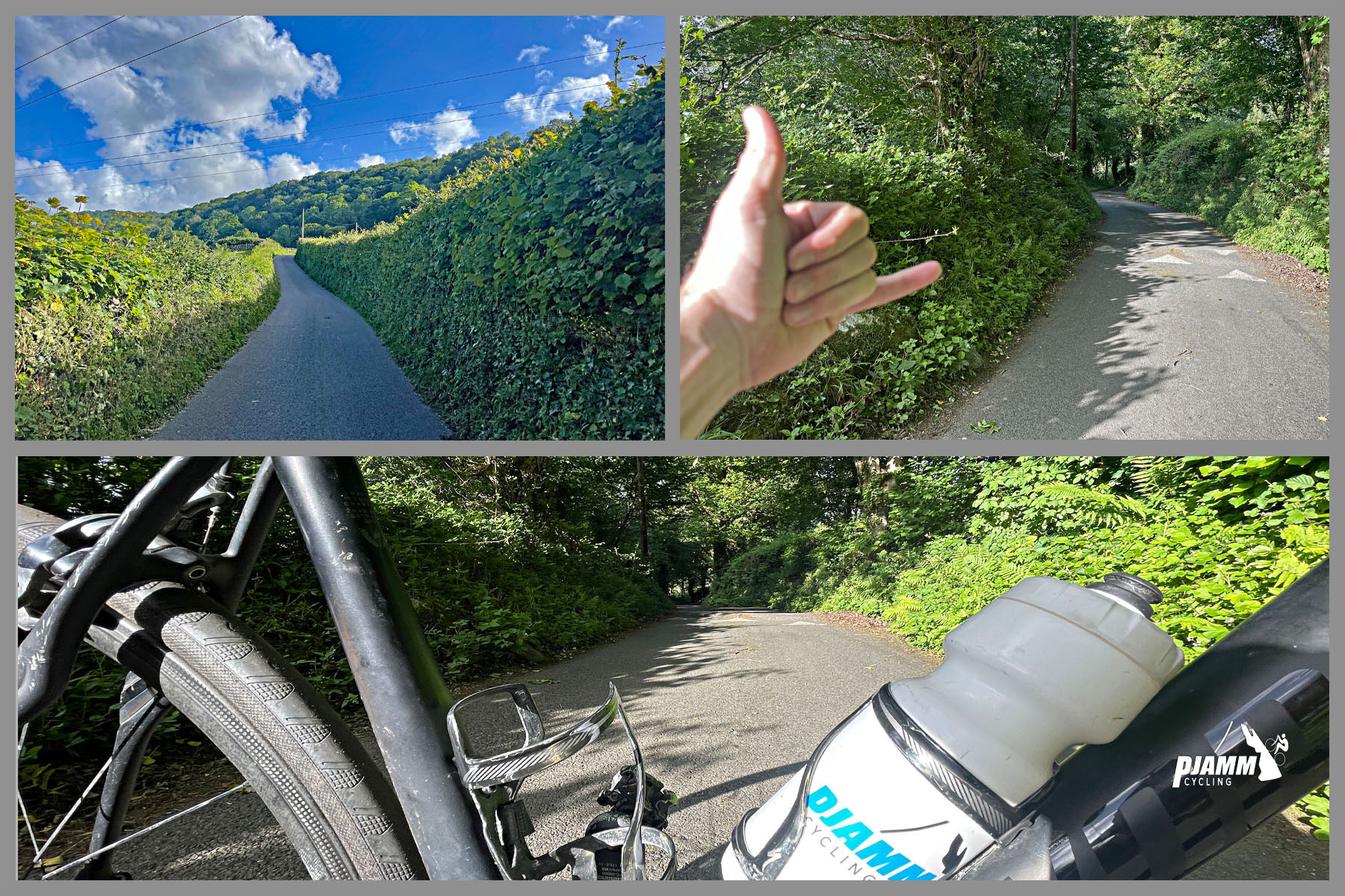 narrow roadway lined by hedges at climb start