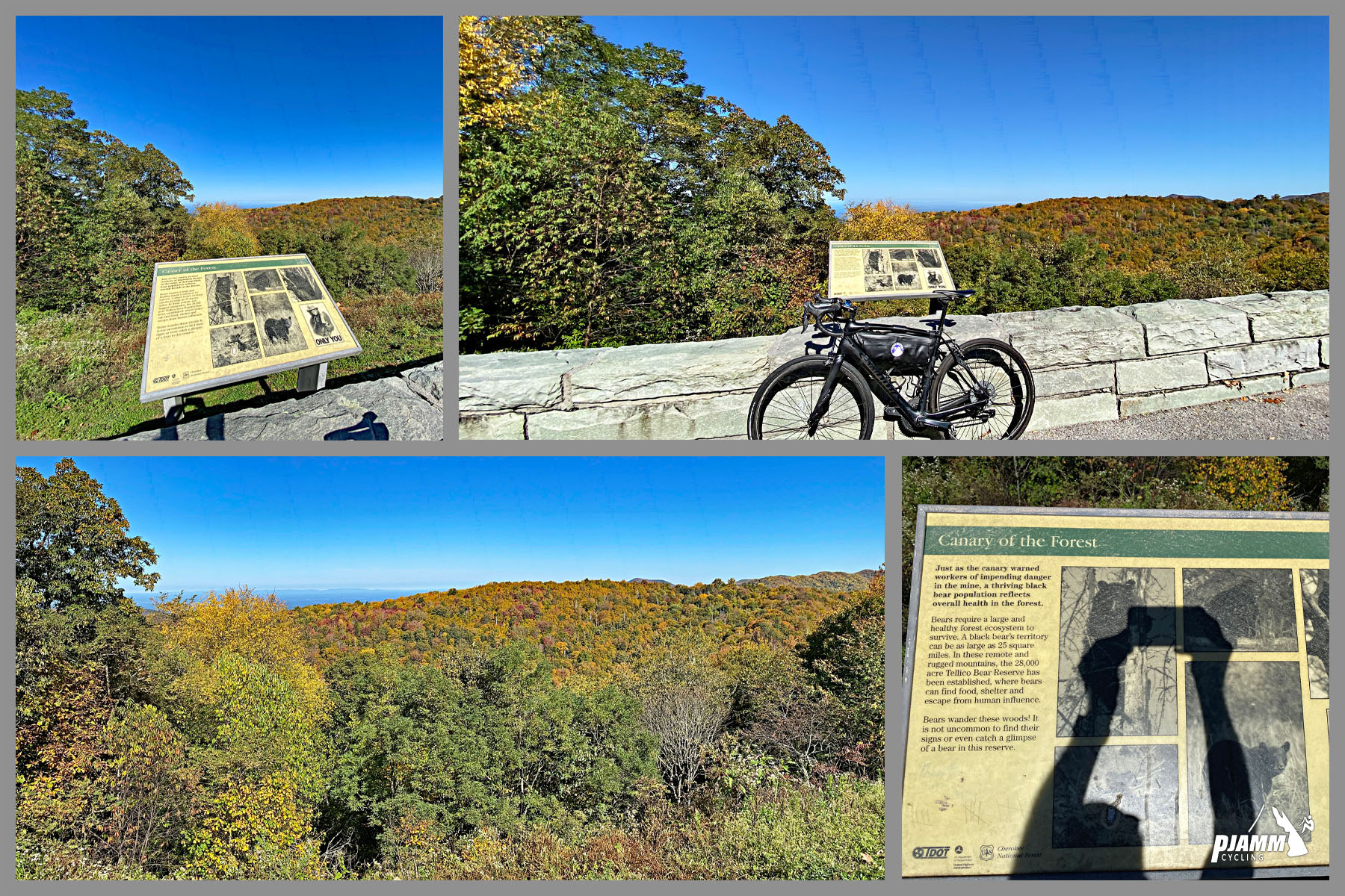 Cycling Cherohala Skyway, Tennessee - informational signs at overlook with dense fall foliage