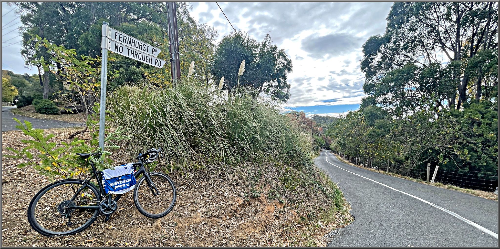 bike parked next to street sign for Fernhurst Road, sign reads "No Through Road"