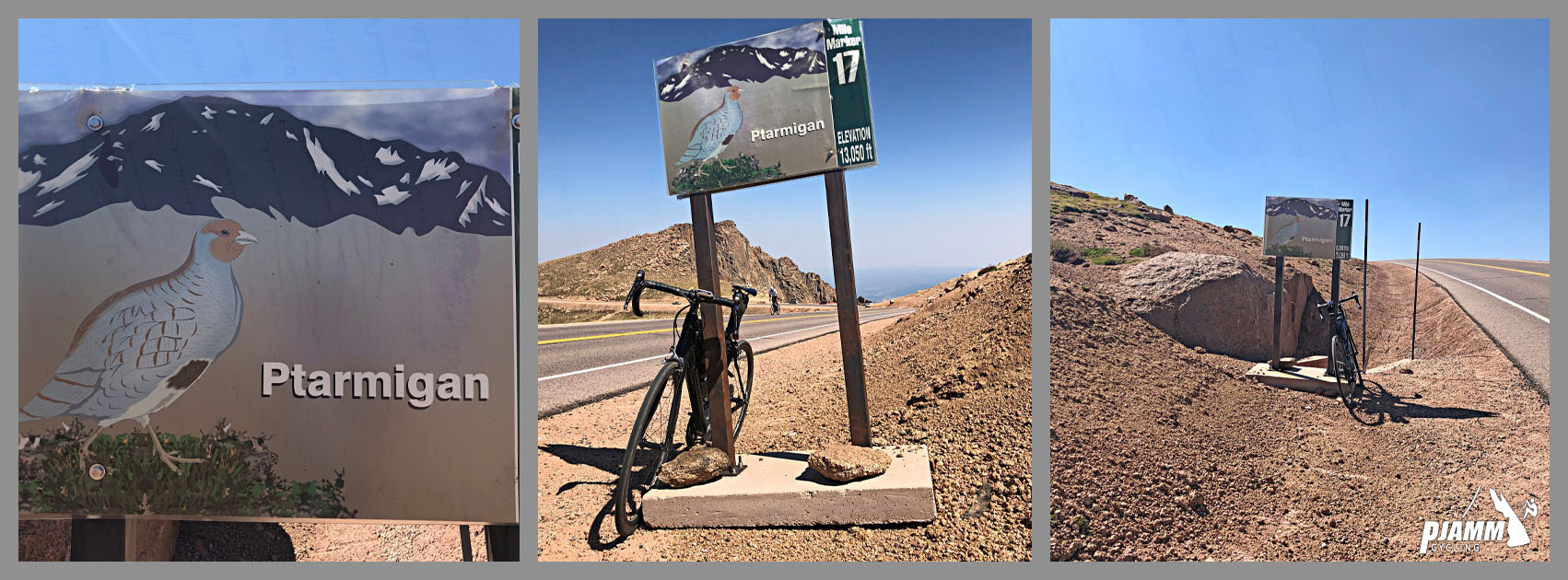 Cycling Pikes Peak - mile marker 17 sign with image of Ptarmigan on it, bike leaning against mile marker sign, PJAMM Cycling logo in corner
