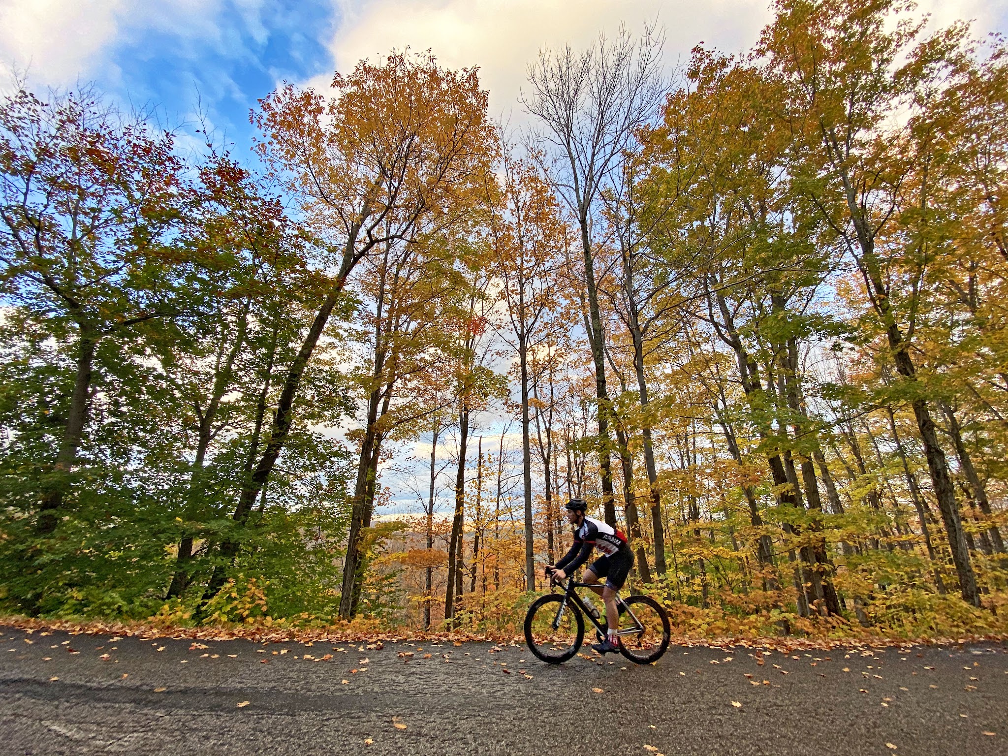 Cycling Okemo, Vermont - cyclist riding on roadway surrounded by tall, slender trees covered in fall foliage