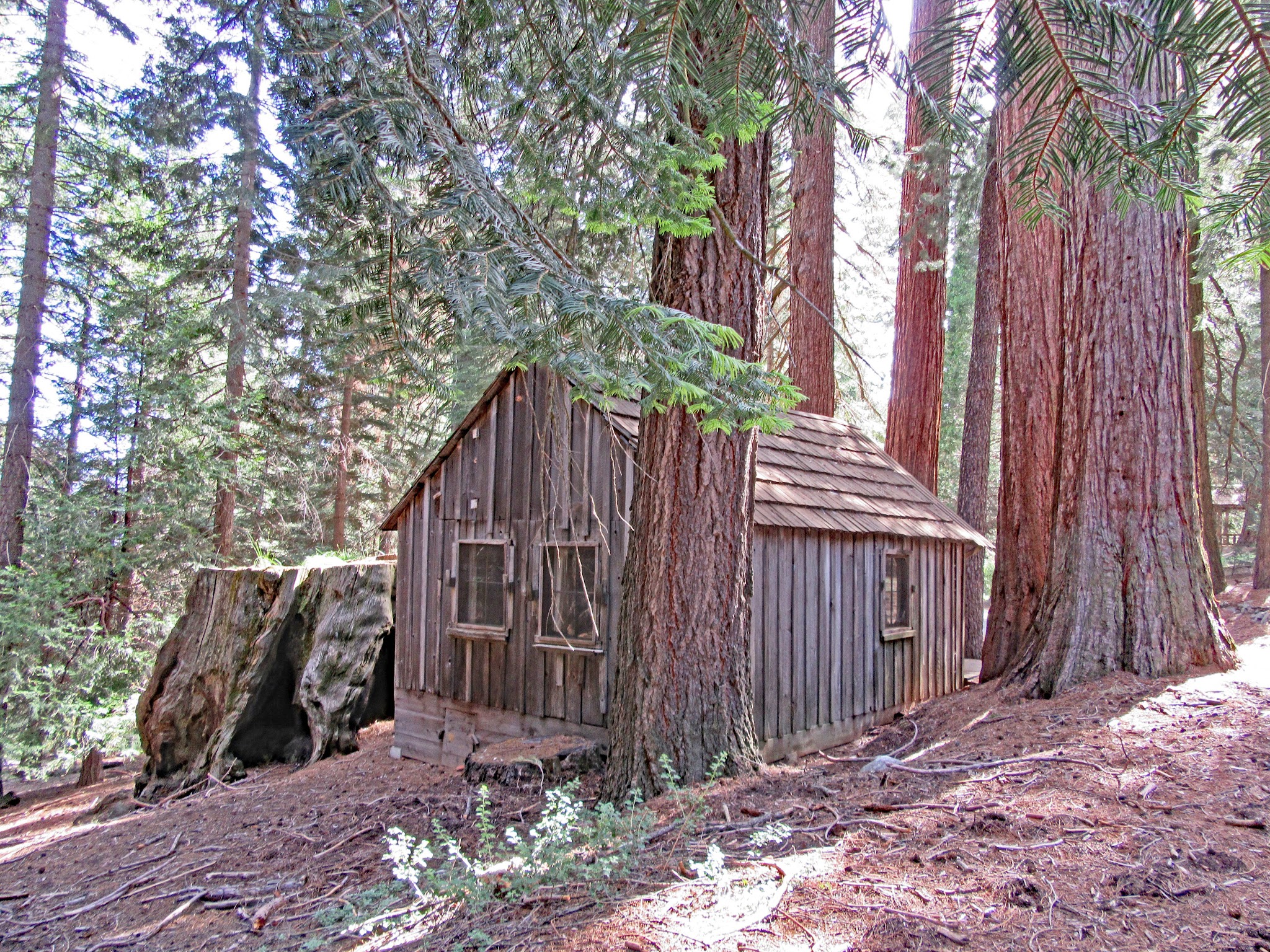Cabin on Mineral King Road during bike ride.