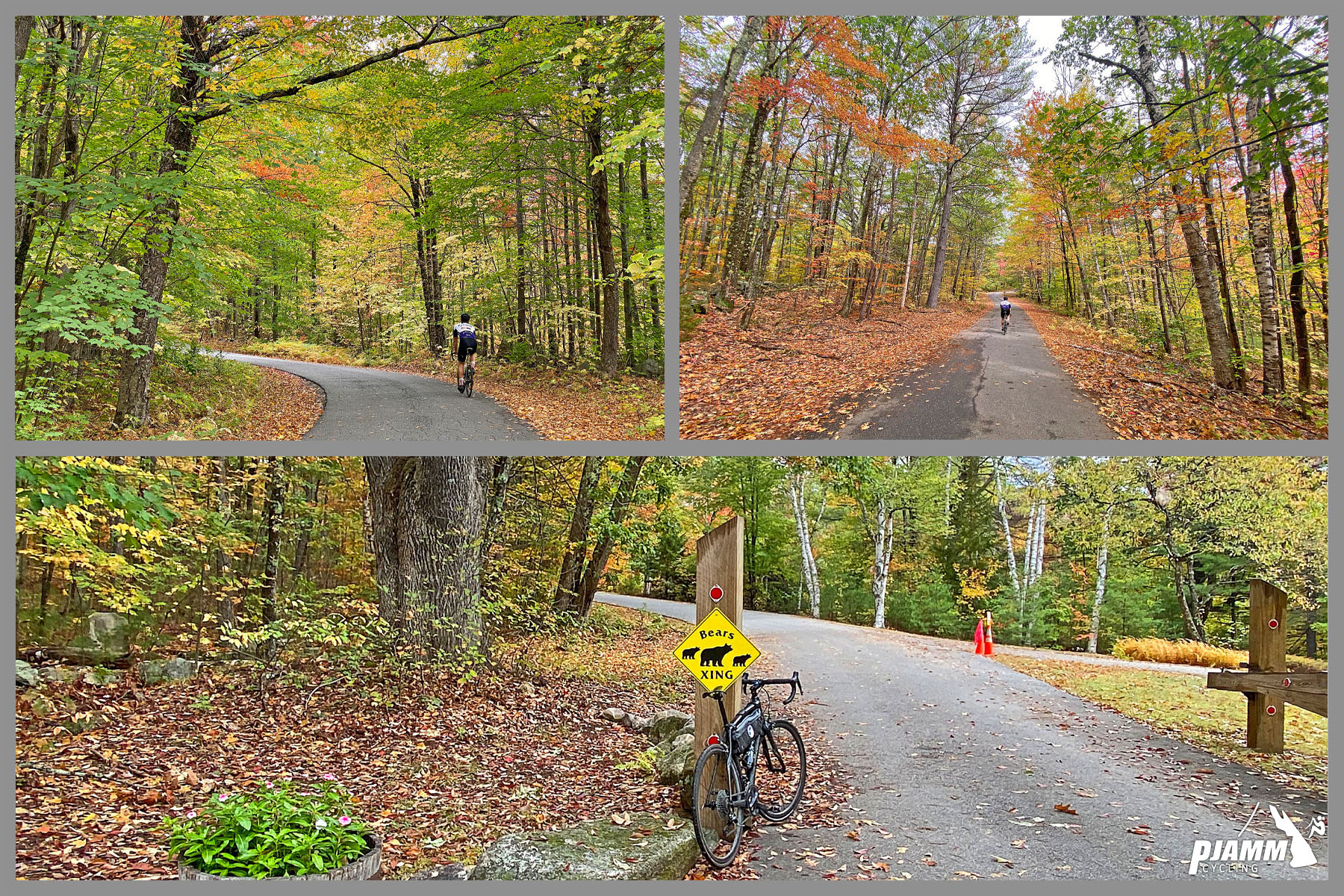 Cycling Kearsarge Mountain Road, New Hampshire - bike parked next to a sign for bear crossing on first third of climb, dense fall foliage, PJAMM cycling logo in corner