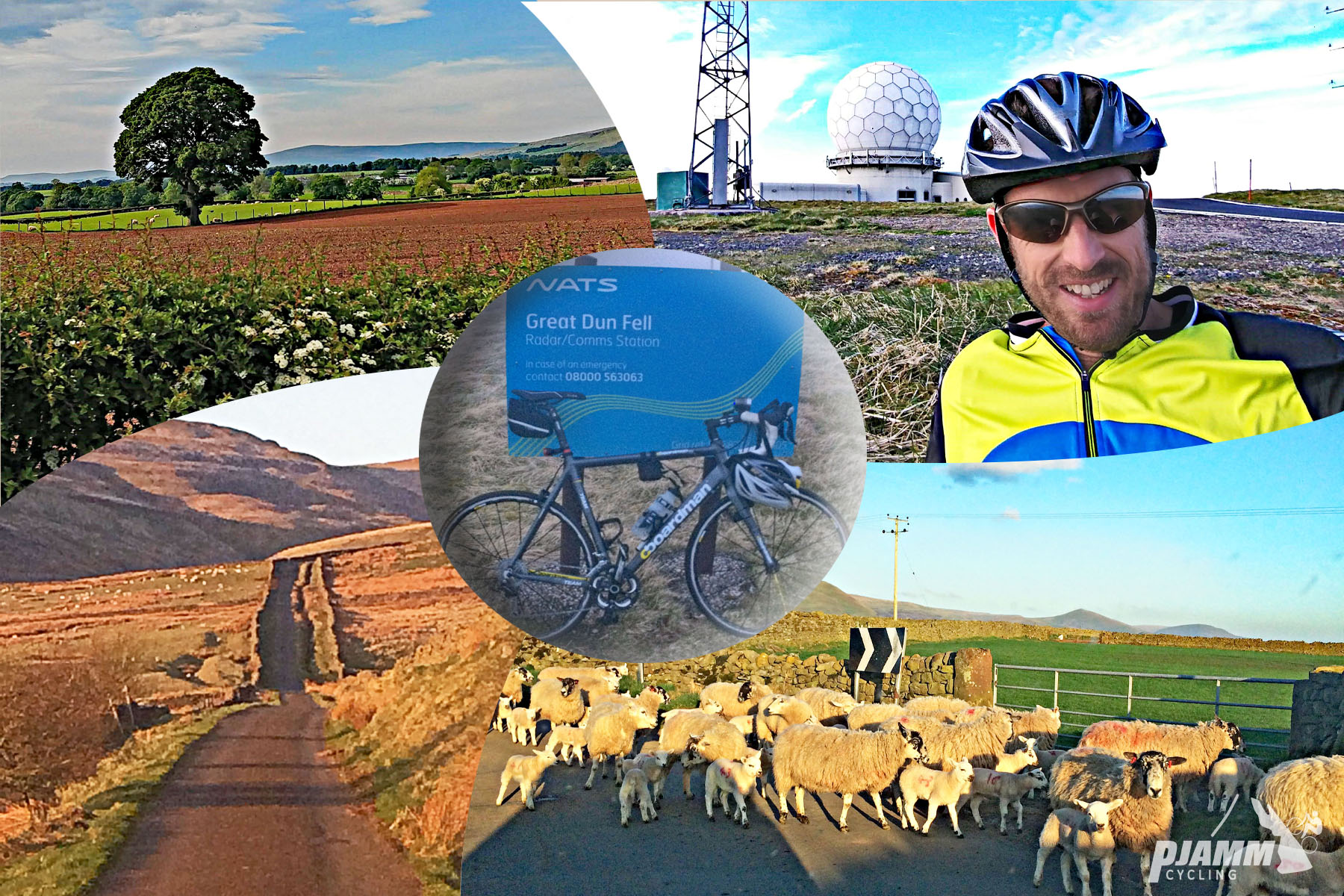 photo collage shows Great Dun Fell ride - bike parked next to sign for Great Dun Fell; herd of sheep crossing road; PJAMM Cyclist poses in front of radar station at climb summit