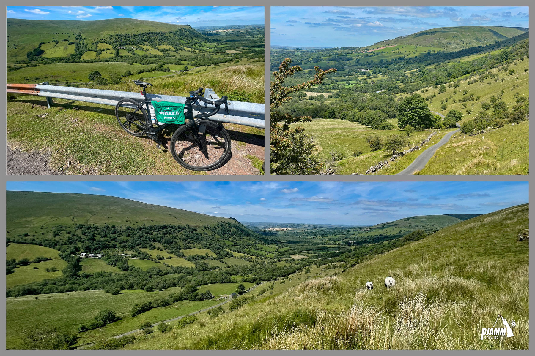 bike parked against guardrail overlooking pasturelands below