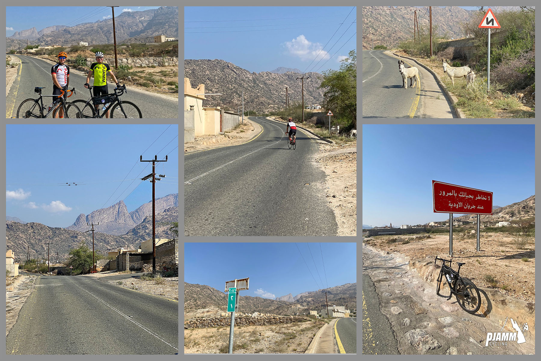 Cycling Parmah Pass, Saudi Arabia - photo collage shows views from the climb start, desert landscape, two-lane roadway, donkeys on roadway, two PJAMM Cyclists stand with their bikes