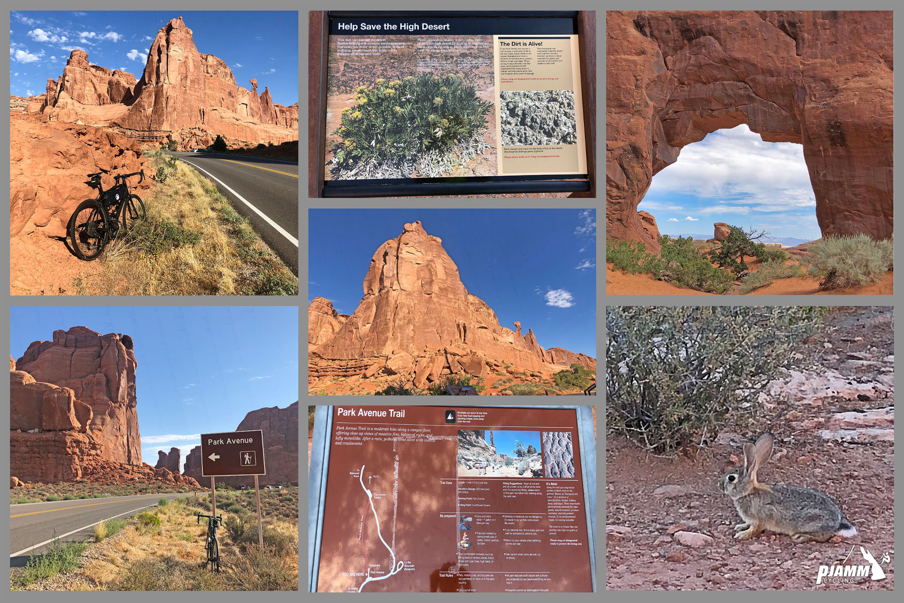 Cycling Arches National Park, Utah - photo collage, PJAMM Cycling logo in corner, bike parked in front of large red rock formation along road side, informational signs at Park Avenue Trail, jackrabbit
