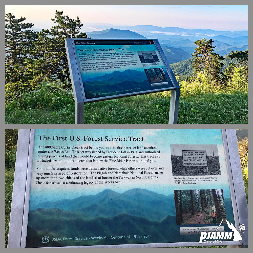 Climbing Mt. Mitchell by bike - U.S. Forest Service informational sign, pine trees, Blue Ridge Mountains