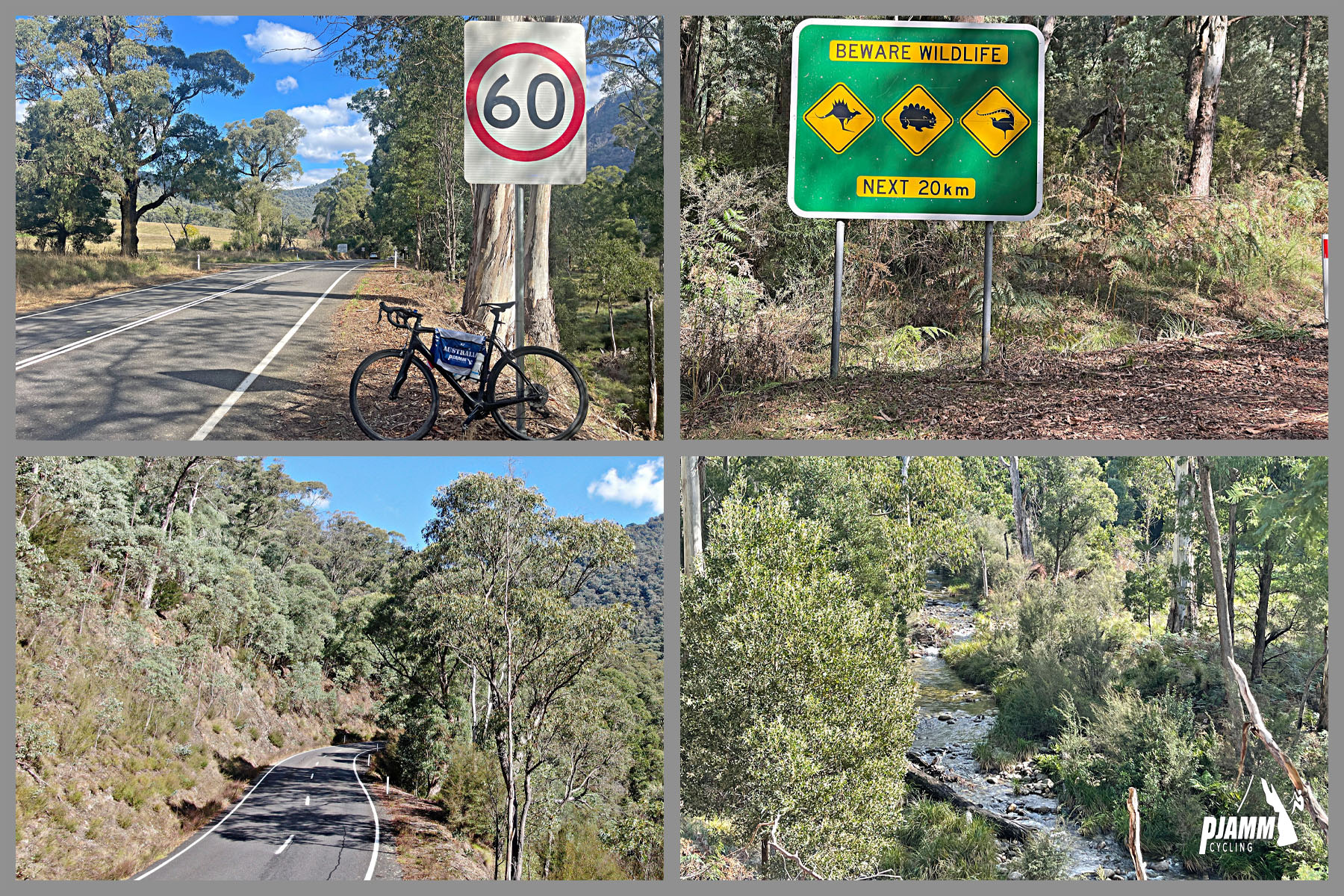 photo collage shows vies along the climb; sign reading "Beware Wildlife Next 20 km," eucalyptus-lined roadway; Eurobin Creek