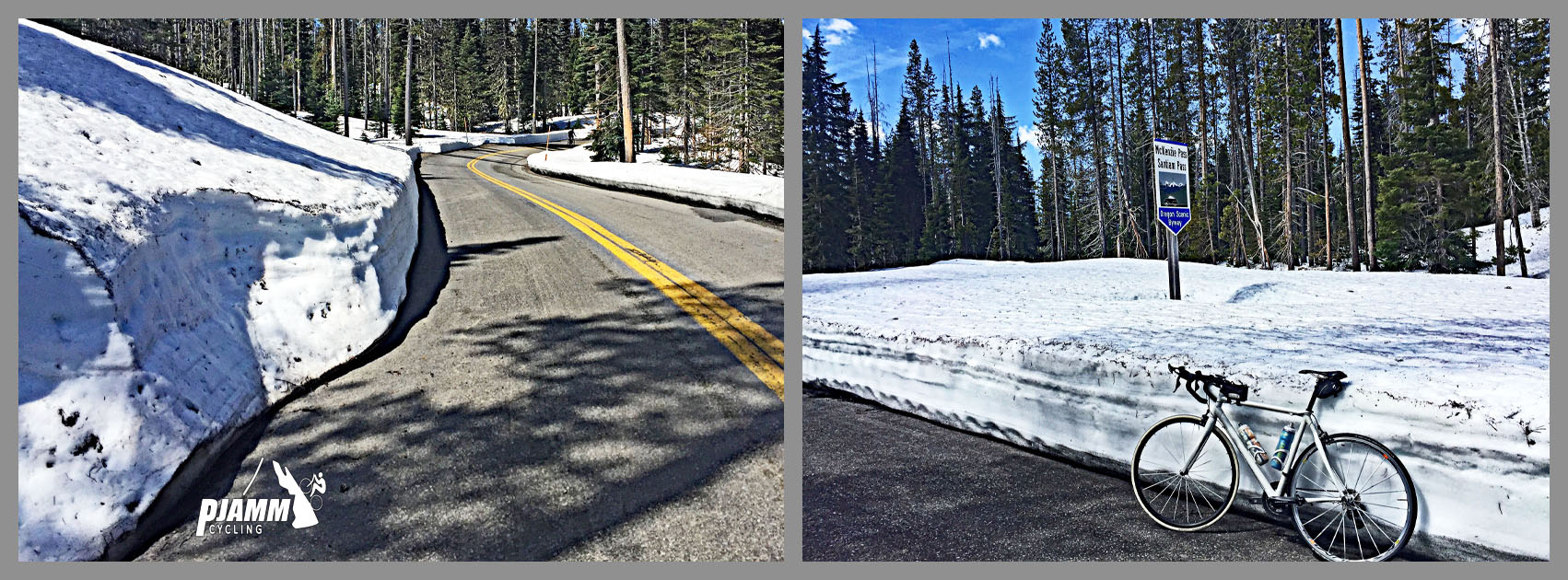 Climbing Mckenzie Pass East by bike - snow lined road, road bike, forest