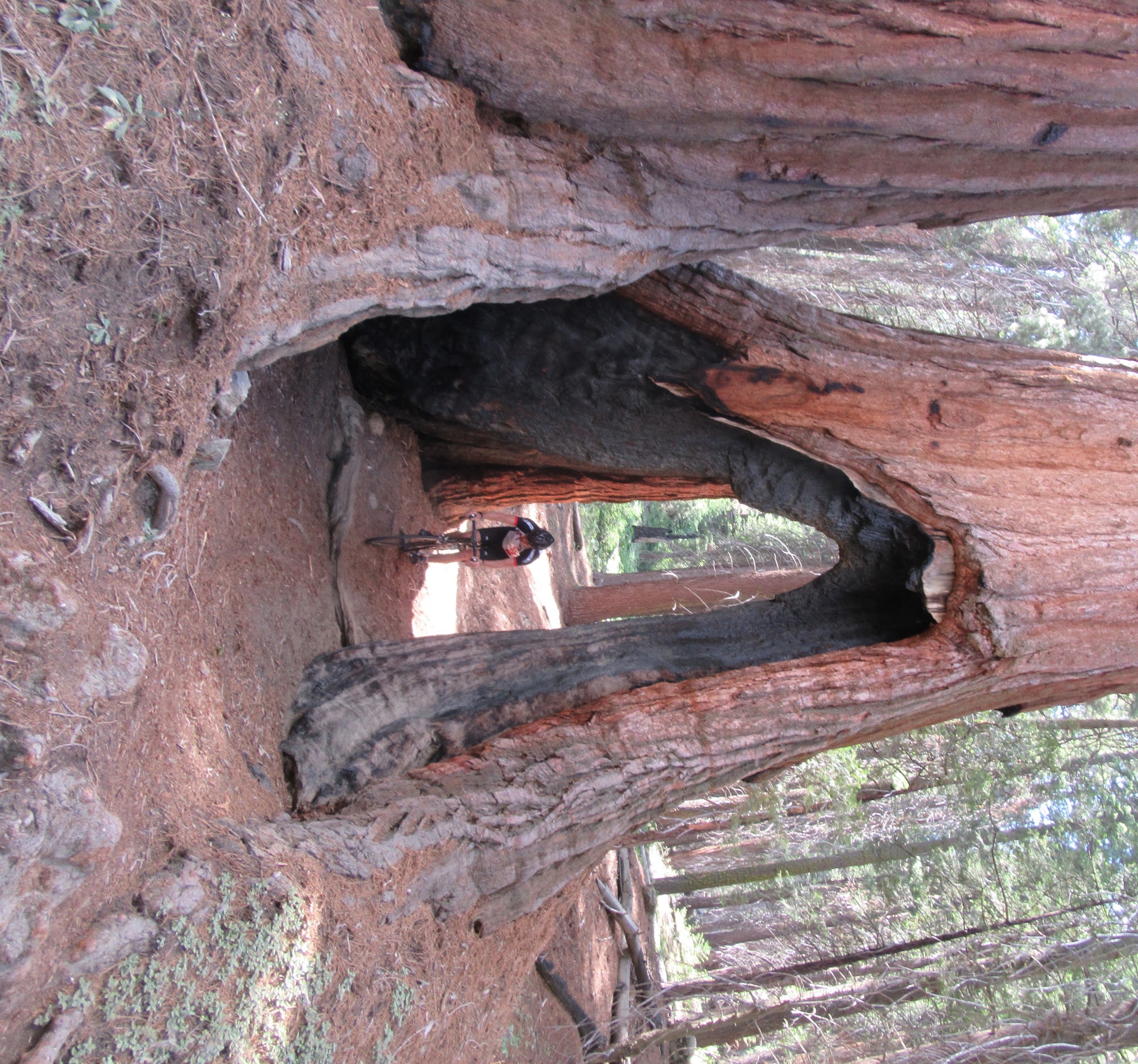 Ride through 2.JPG