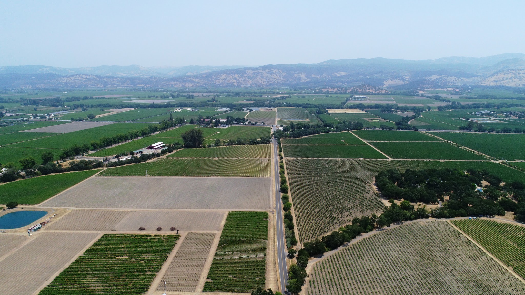 Oakville Grade Road looking east Bicycle climb up Oakville Grade Road - drone photo of view east towards St. Helena Highway- vineyards and roadway.