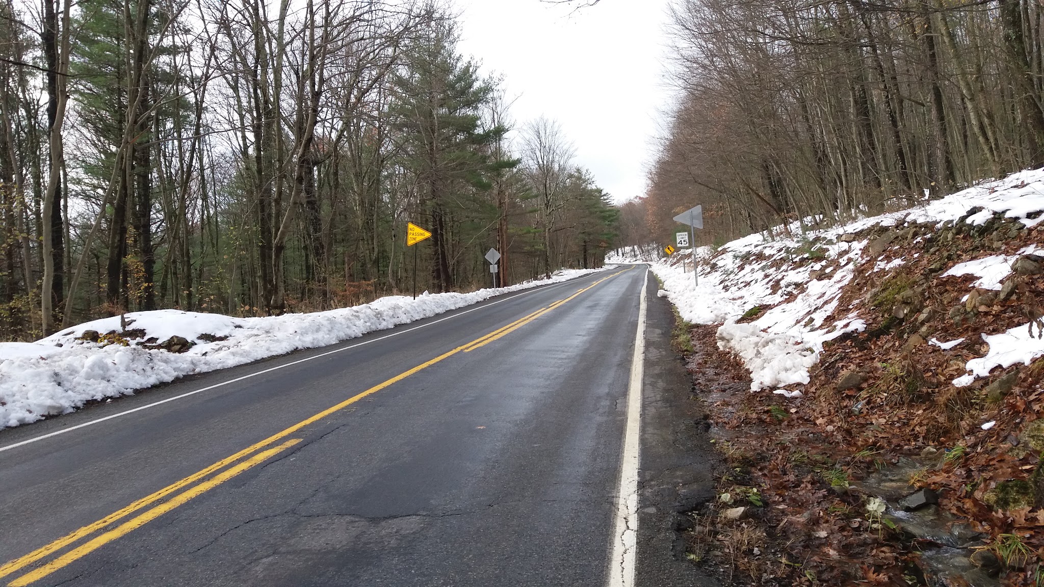 Cycling Route 44 East, Pennsylvania - two-lane roadway surrounded by forestation and snow