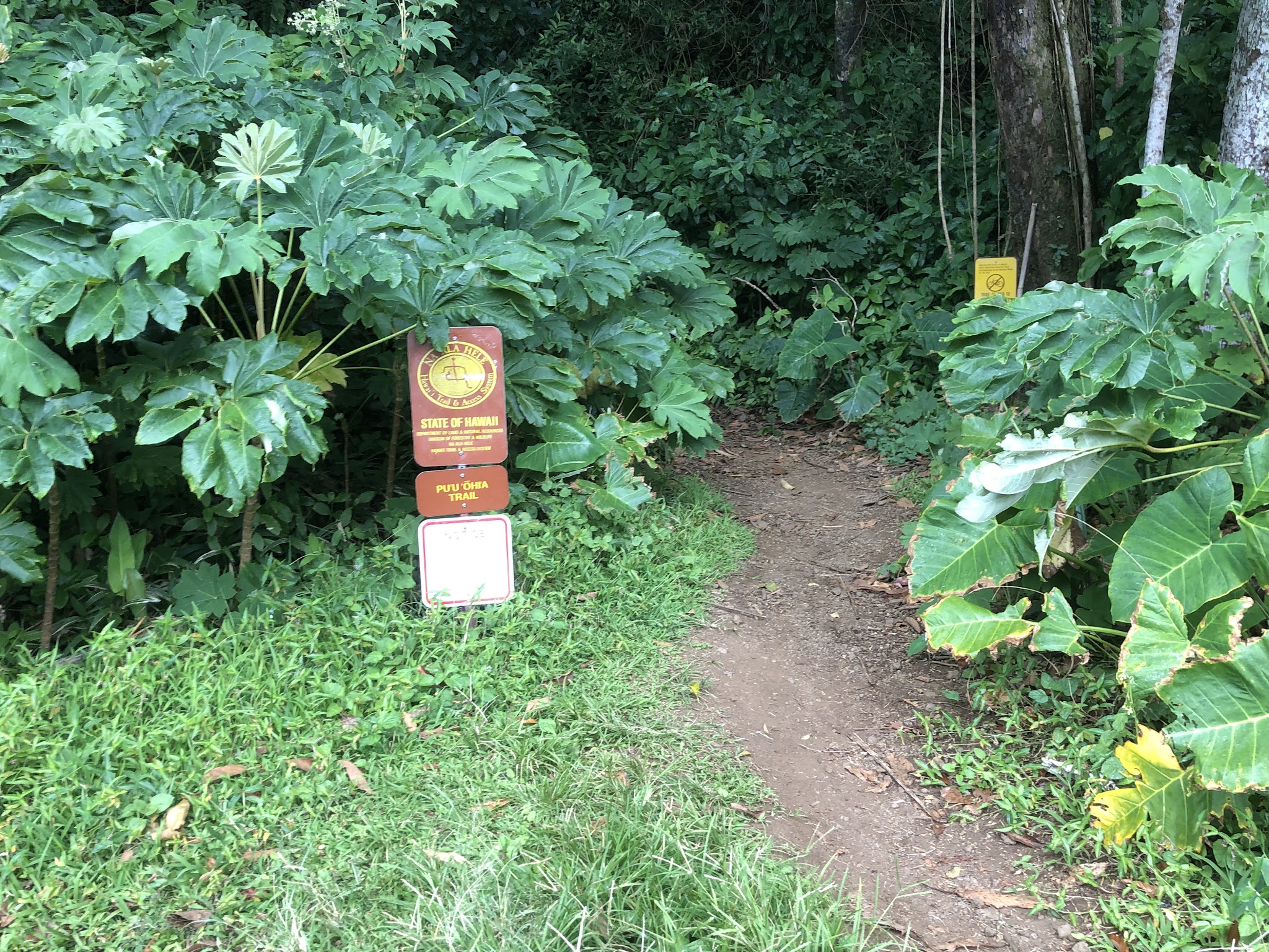 Biking up Round Top Drive -  Kalawahine Trail sign at the end